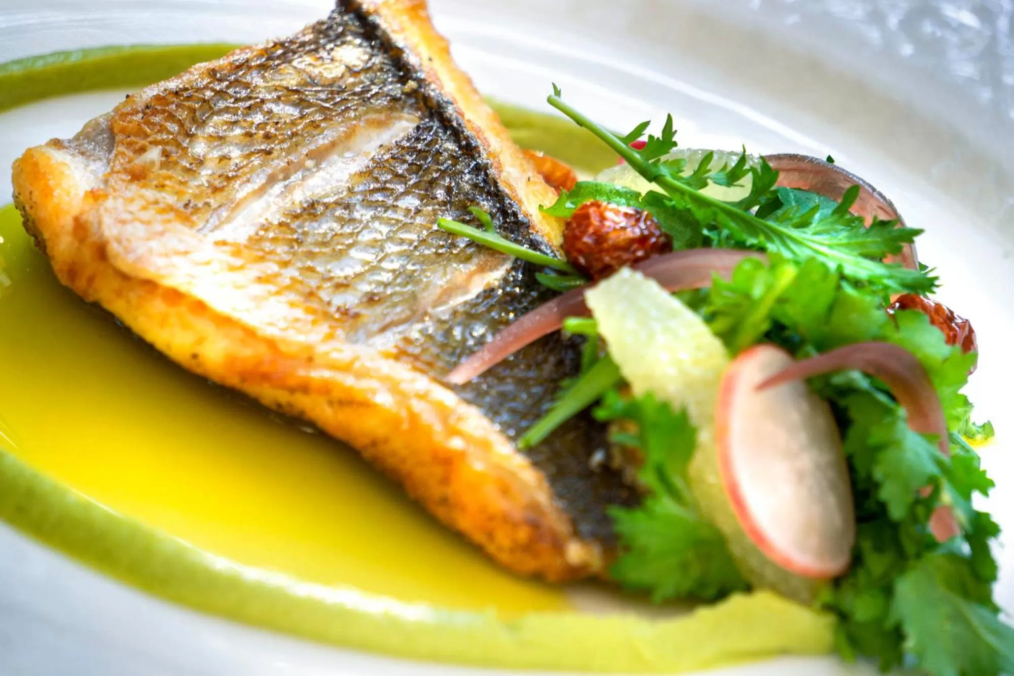 Restaurant/places to eat in Alavya