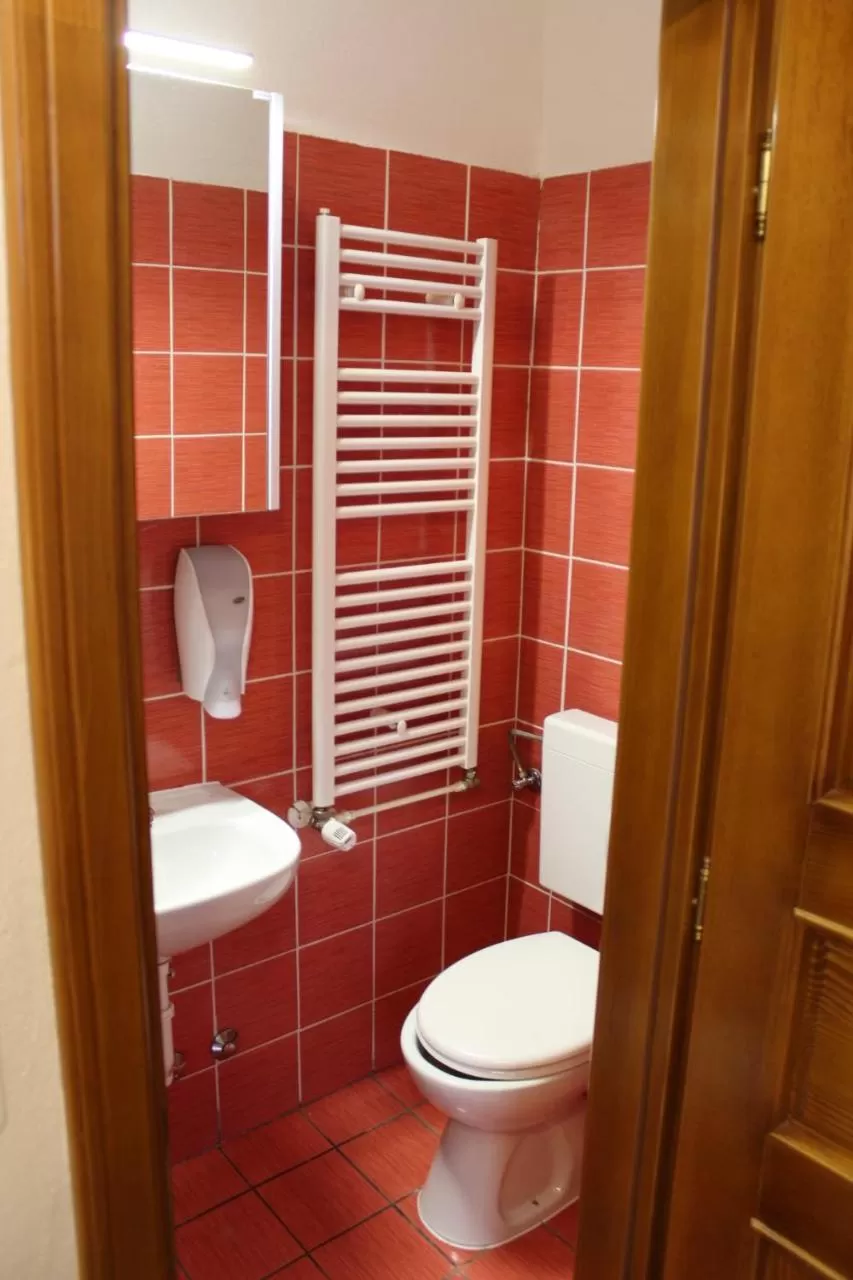 Toilet in Wellness B&B Winery Sontacchi