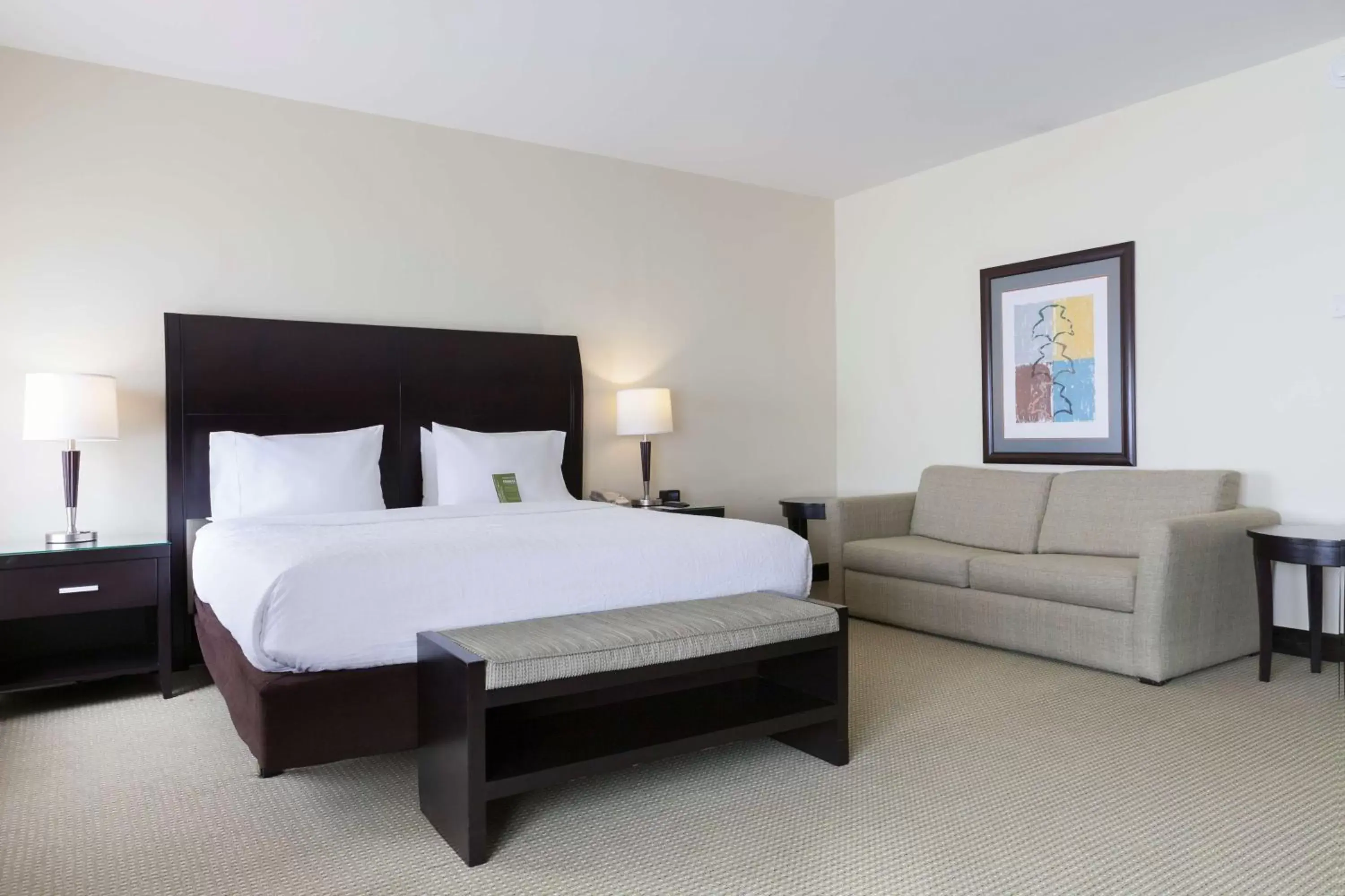 Living room, Bed in Hilton Garden Inn Guanacaste Airport