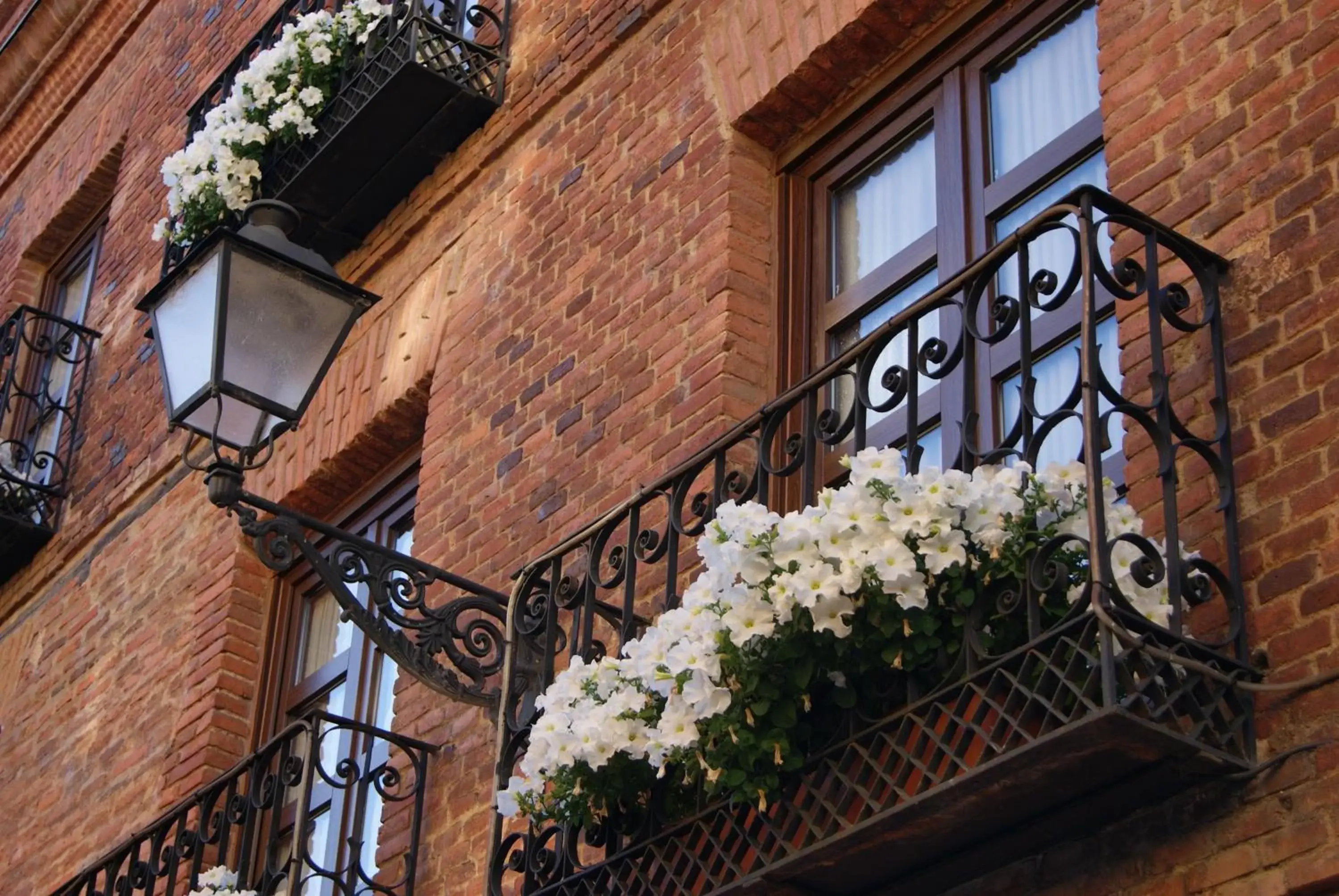 Facade/entrance, Balcony/Terrace in Hotel La Posada Regia