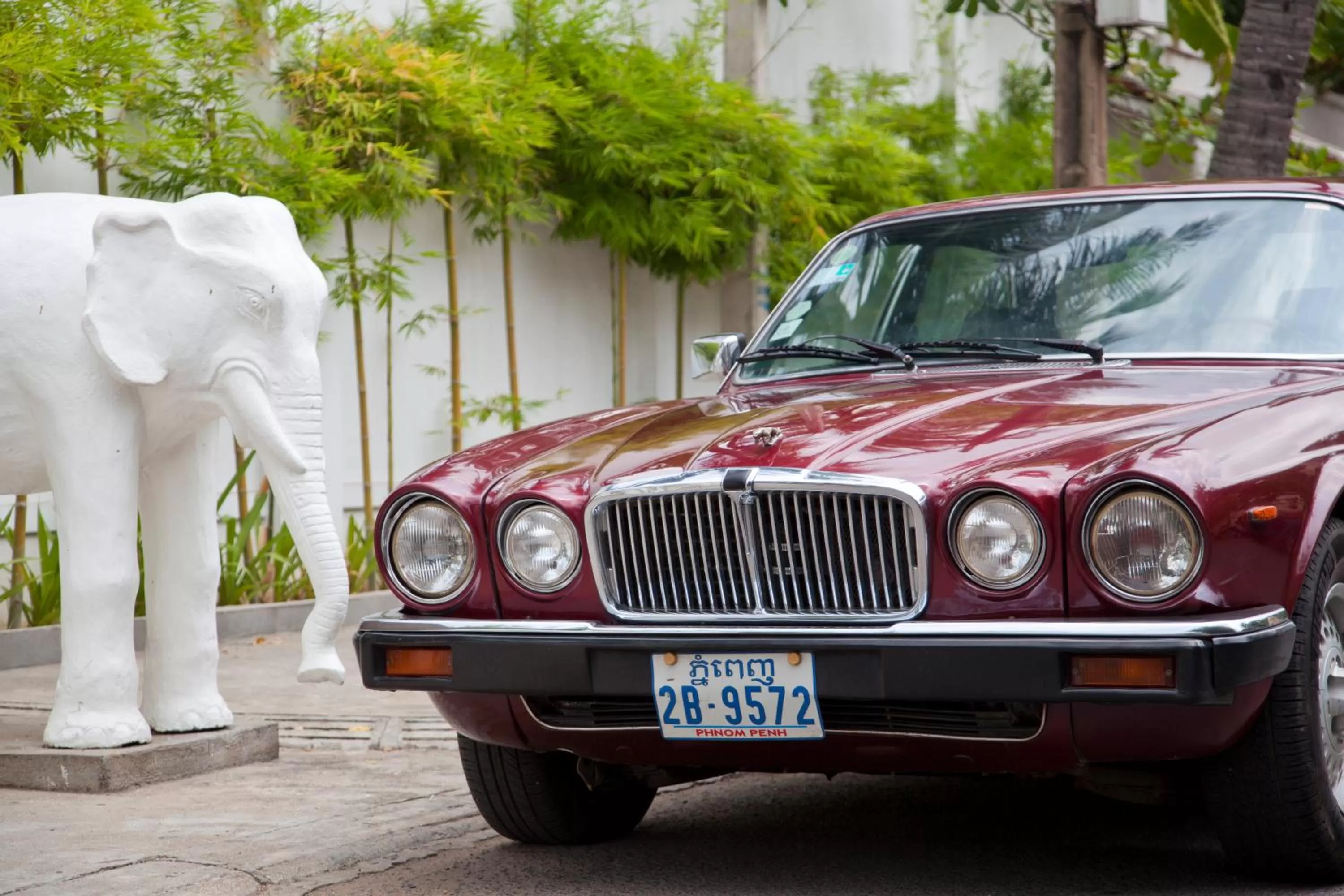 Other in The Pavilion