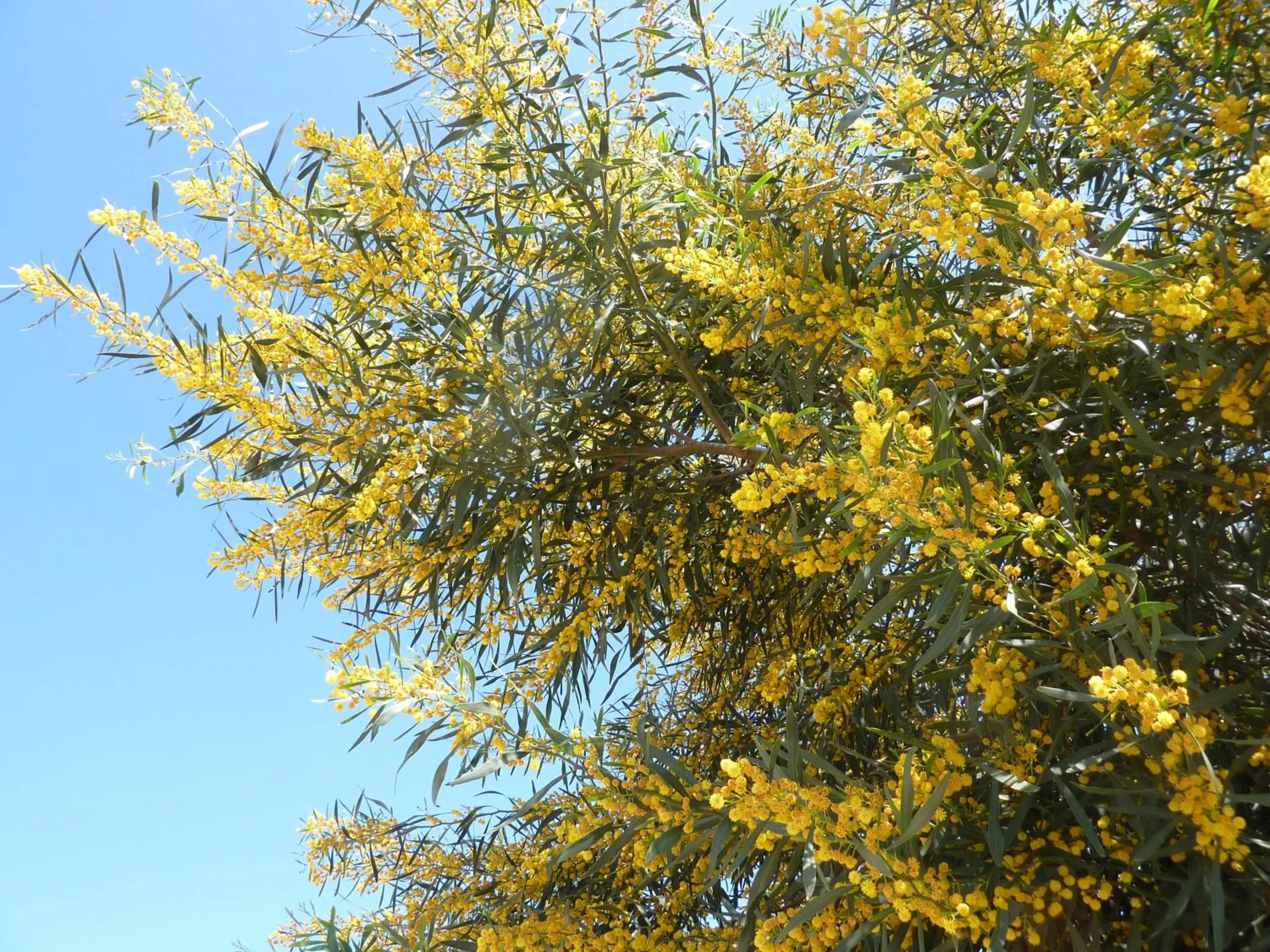 Other in Aphrodite Beach Hotel