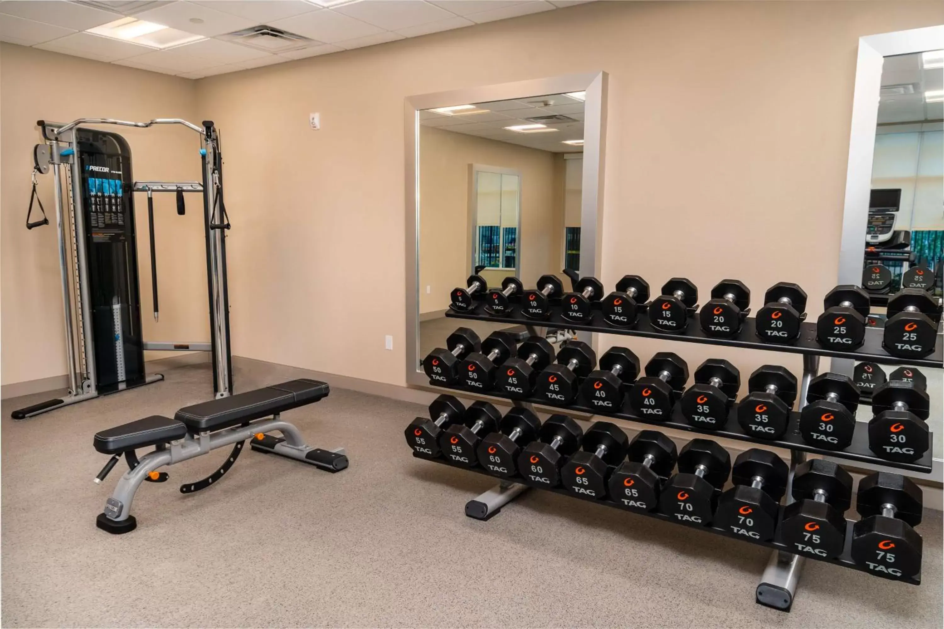 Fitness centre/facilities, Fitness Center/Facilities in Homewood Suites By Hilton Rancho Cordova, Ca