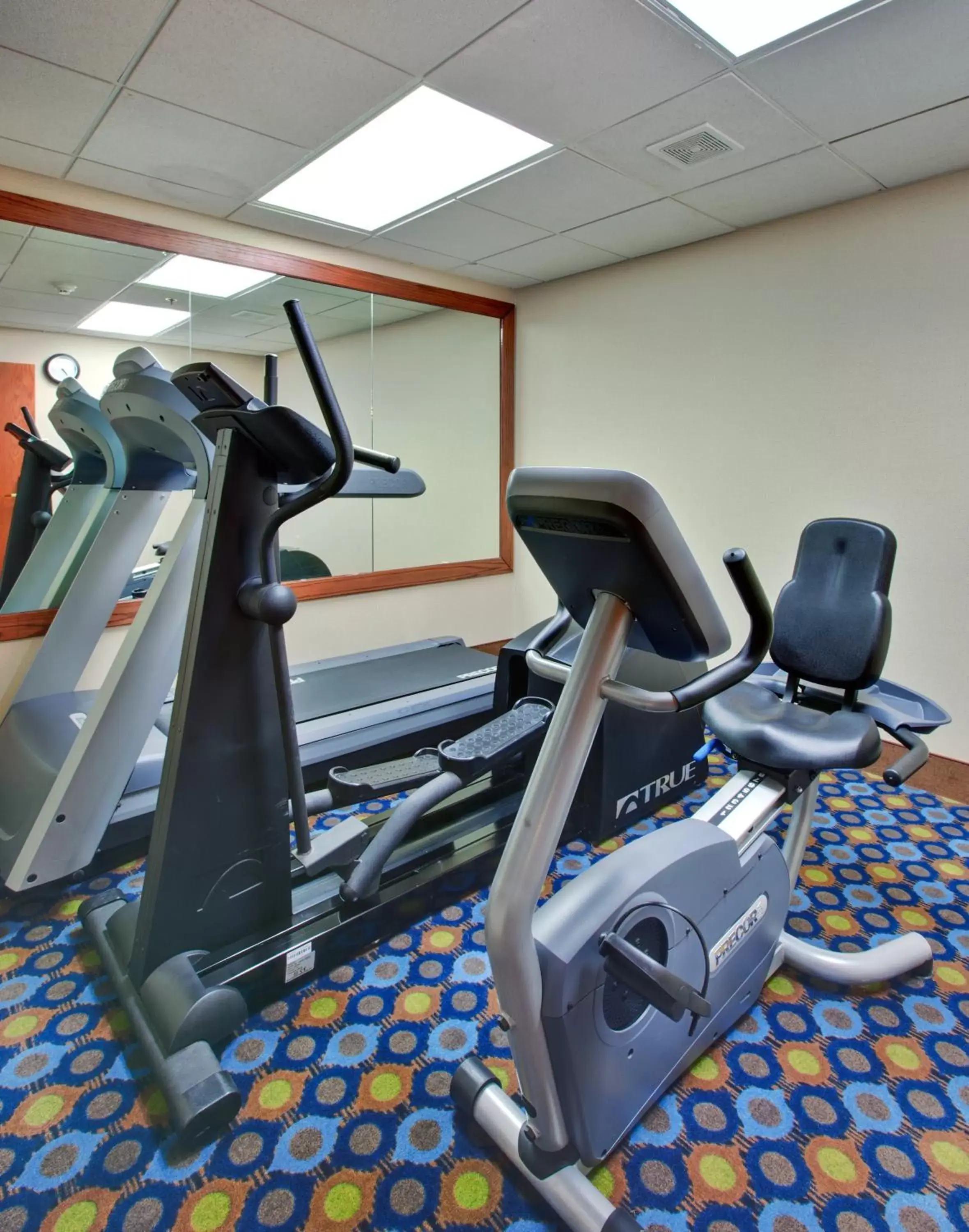 Spa and wellness centre/facilities, Fitness Center/Facilities in Holiday Inn Express Sault Ste Marie, an IHG Hotel