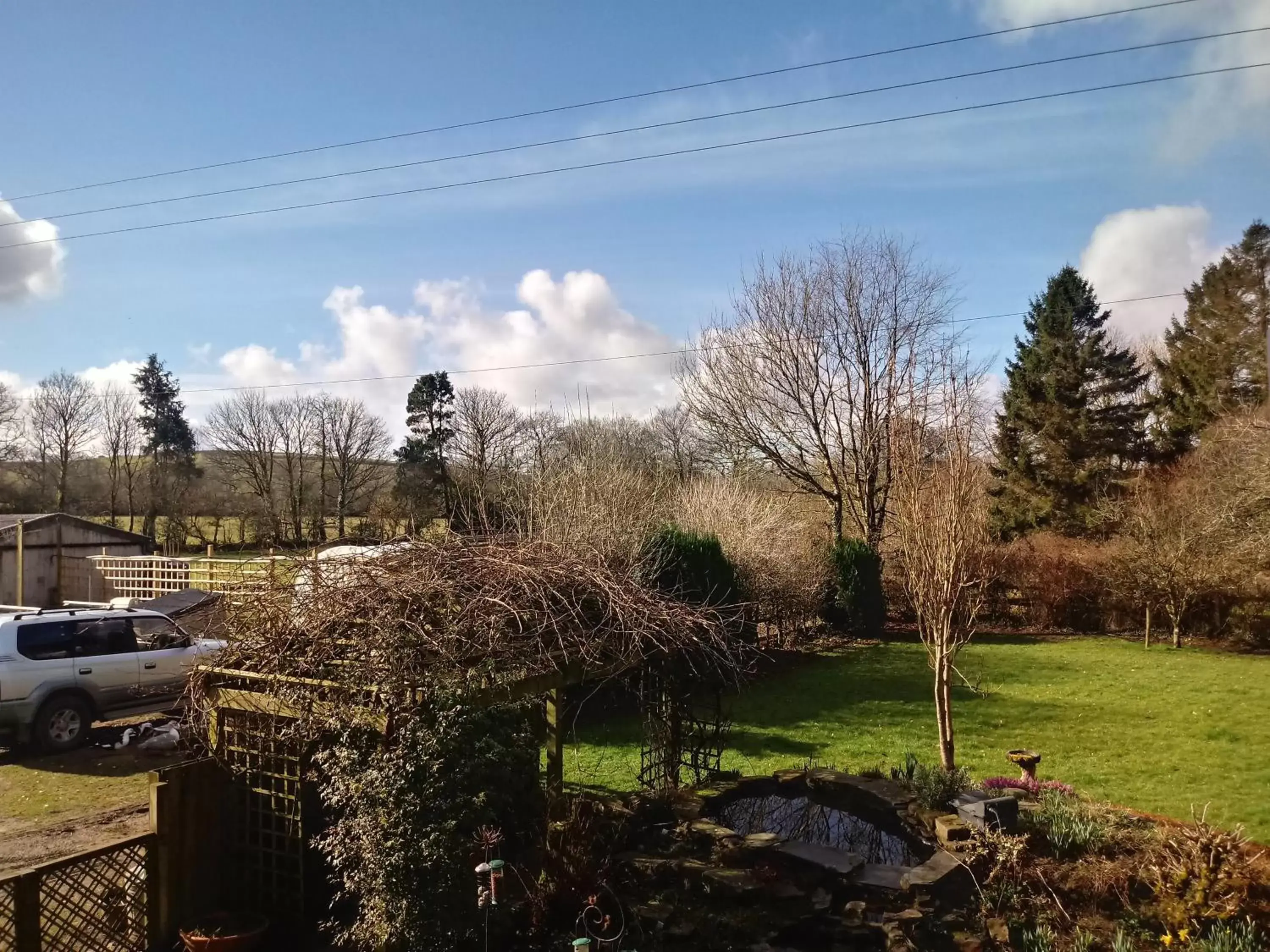 Garden view in Claw House