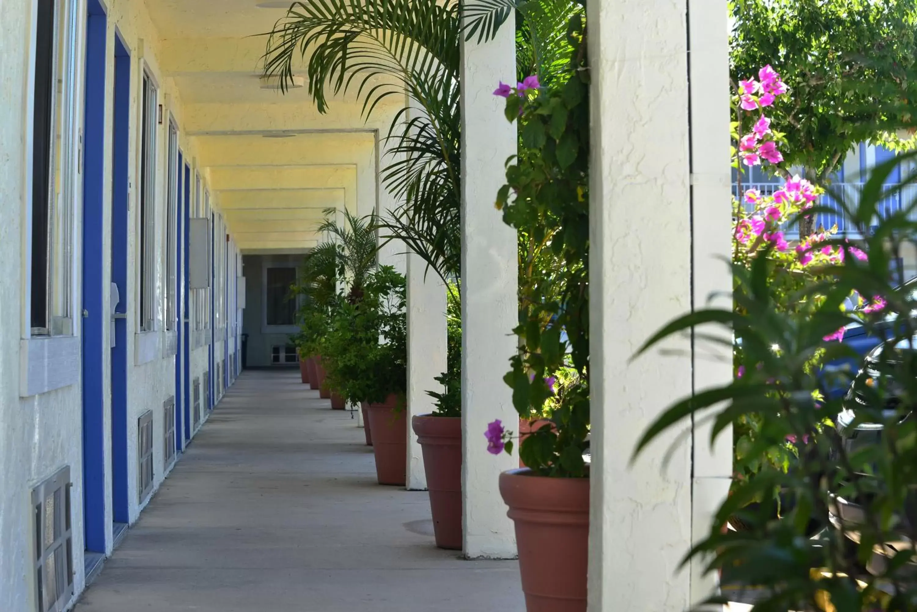 Americas Best Value Inn Bradenton-Sarasota Americas Best Value Inn Bradenton-Sarasota