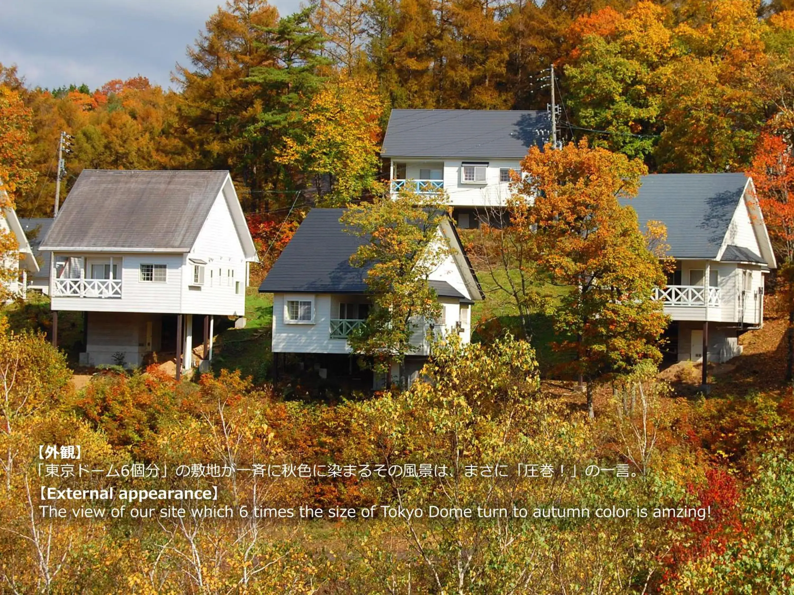 Bird's eye view, Bird's-eye View in Resort Villa Takayama