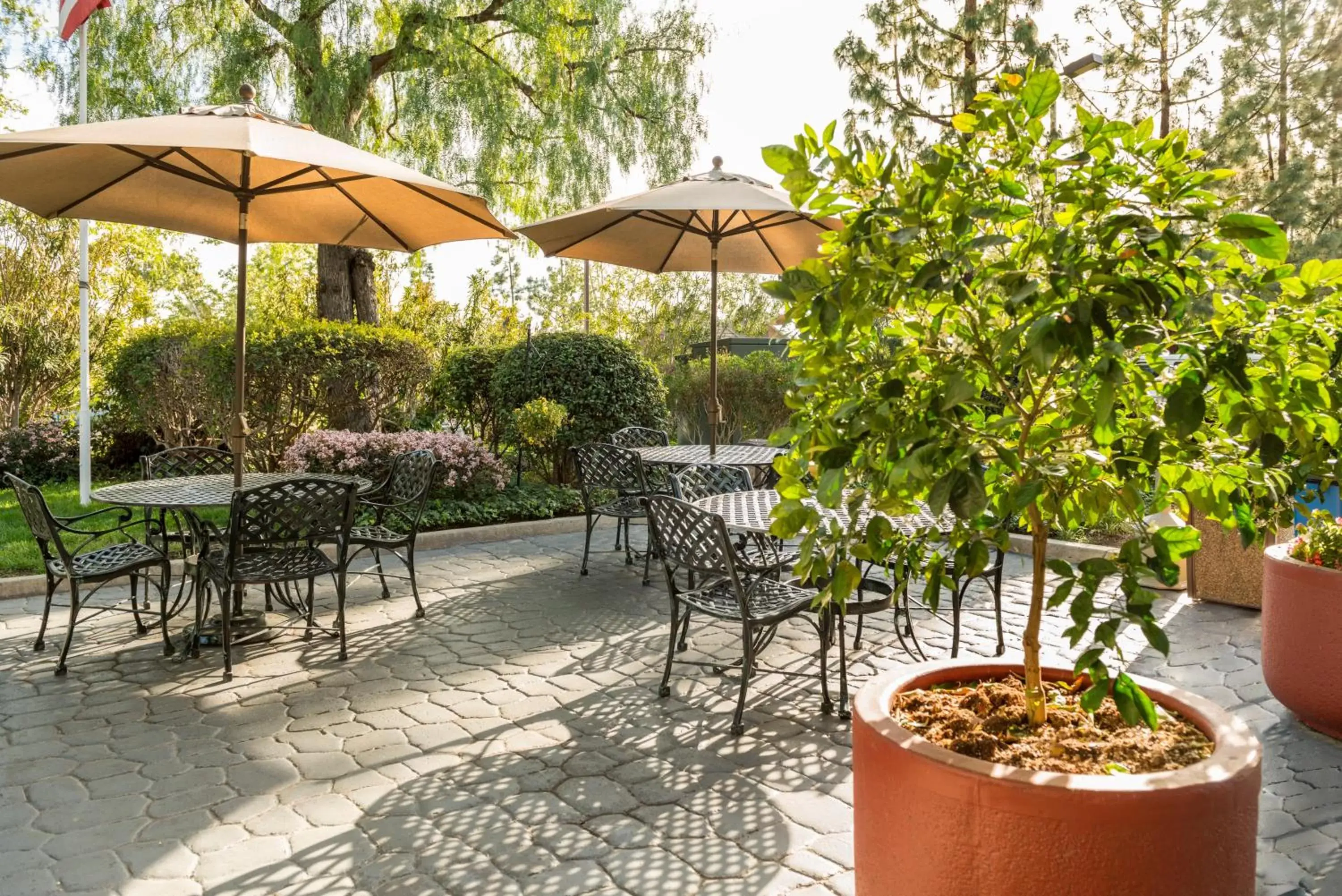 Patio in Ayres Lodge Alpine