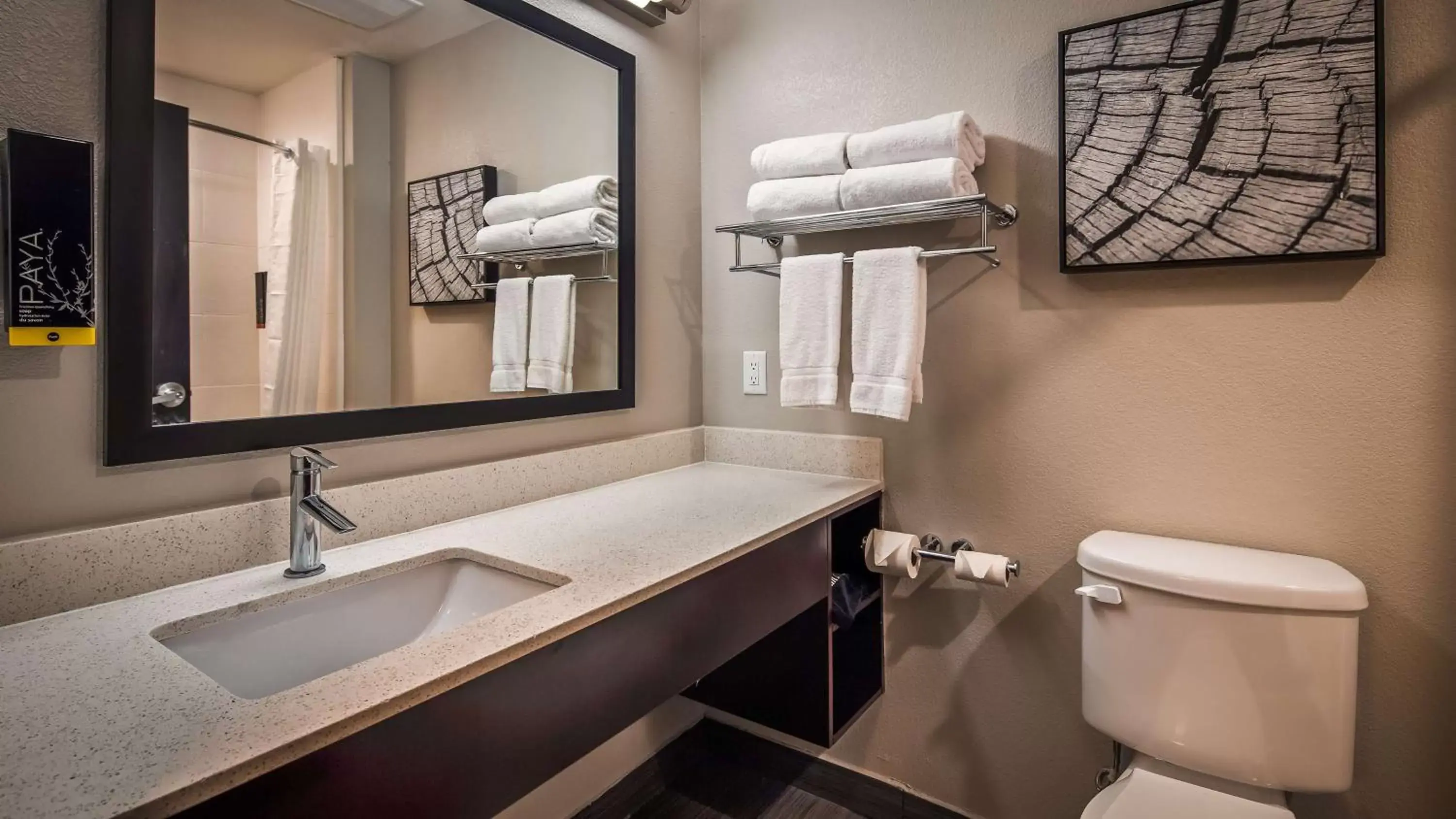 Bathroom in Best Western Plus Bay City Inn & Suites