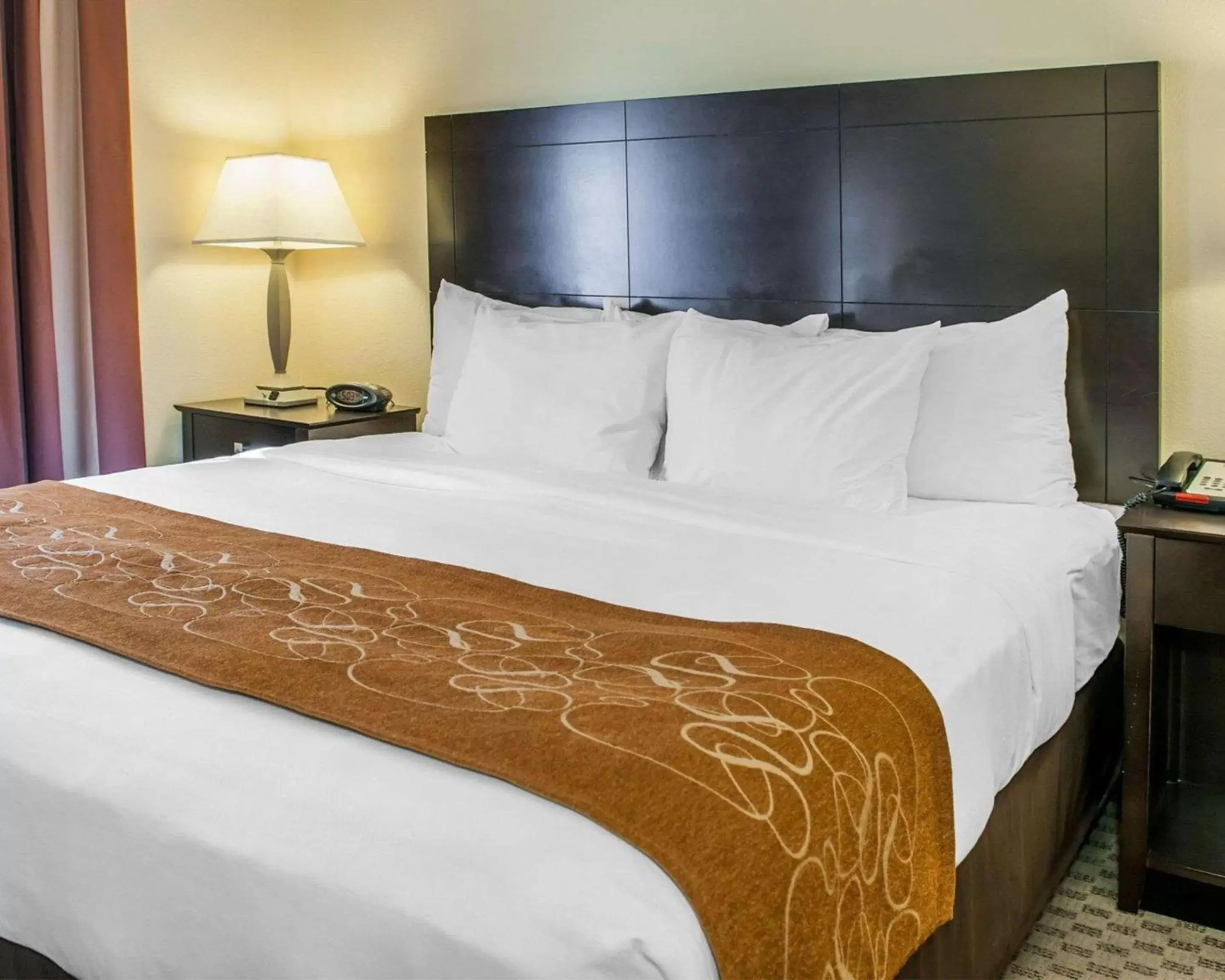 Photo of the whole room, Bed in Comfort Suites French Lick Photo of the whole room, Bed in Comfort Suites French Lick