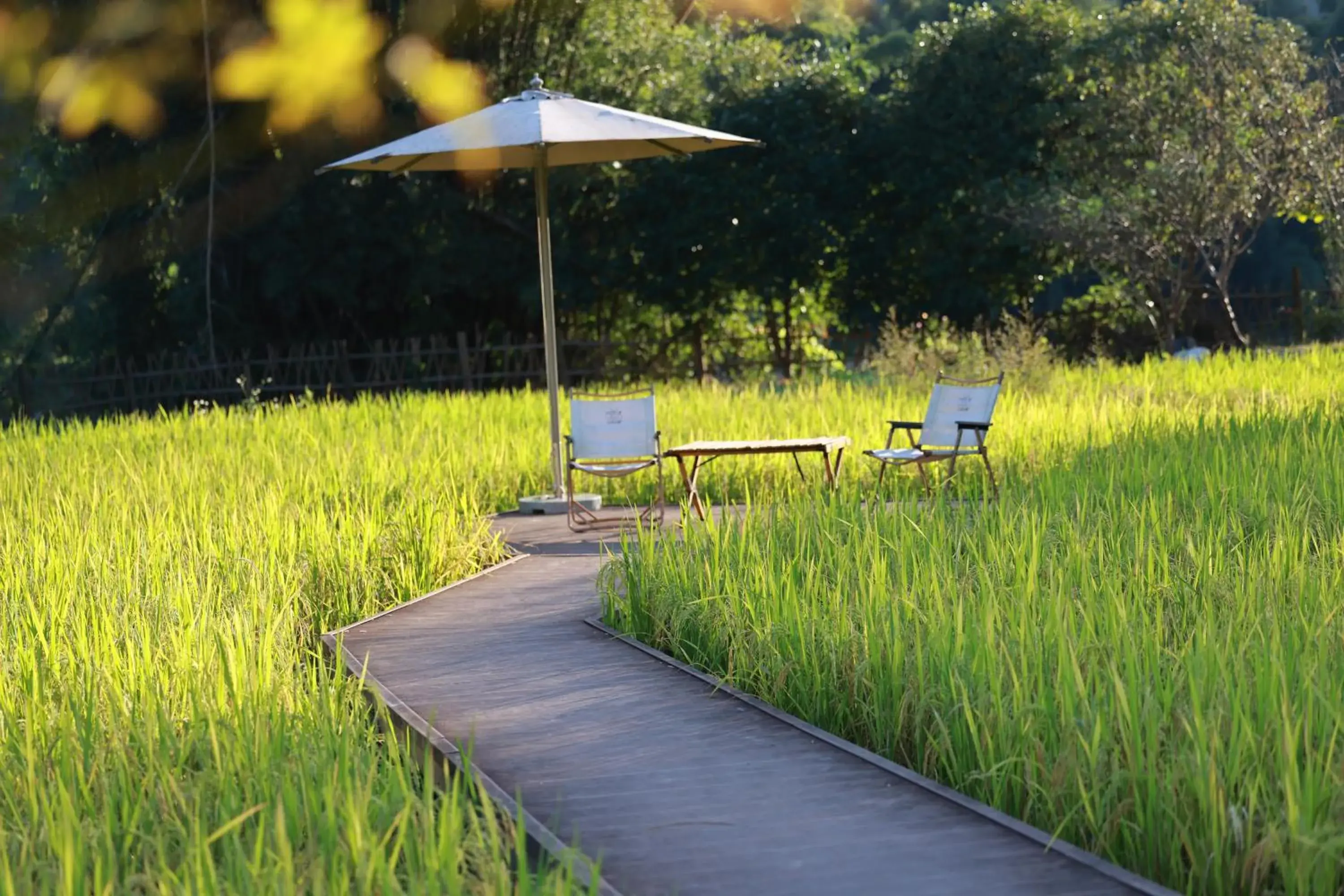 Garden in Yangshuo Moondance Hotel