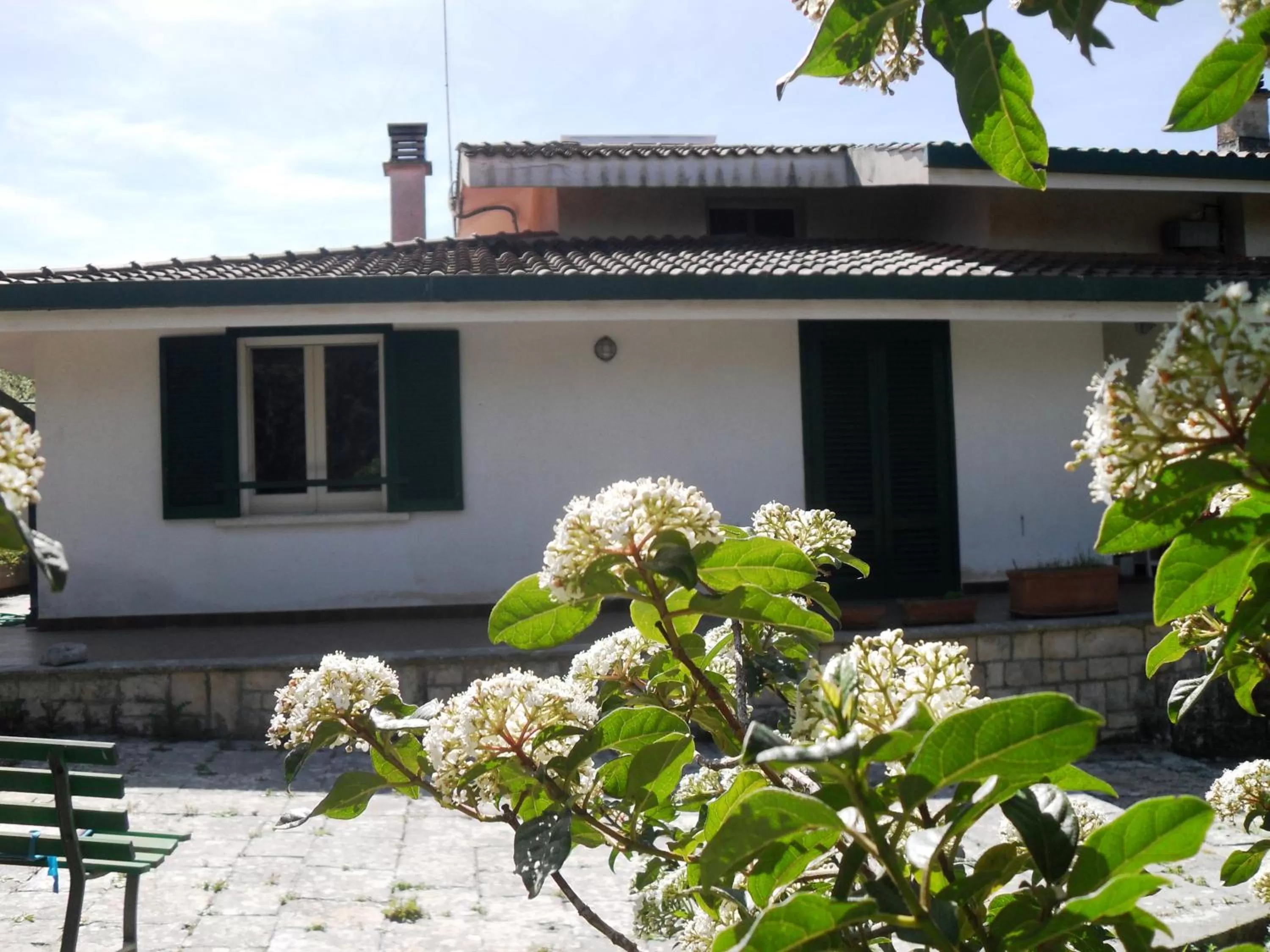 Property building in i gù books & rooms