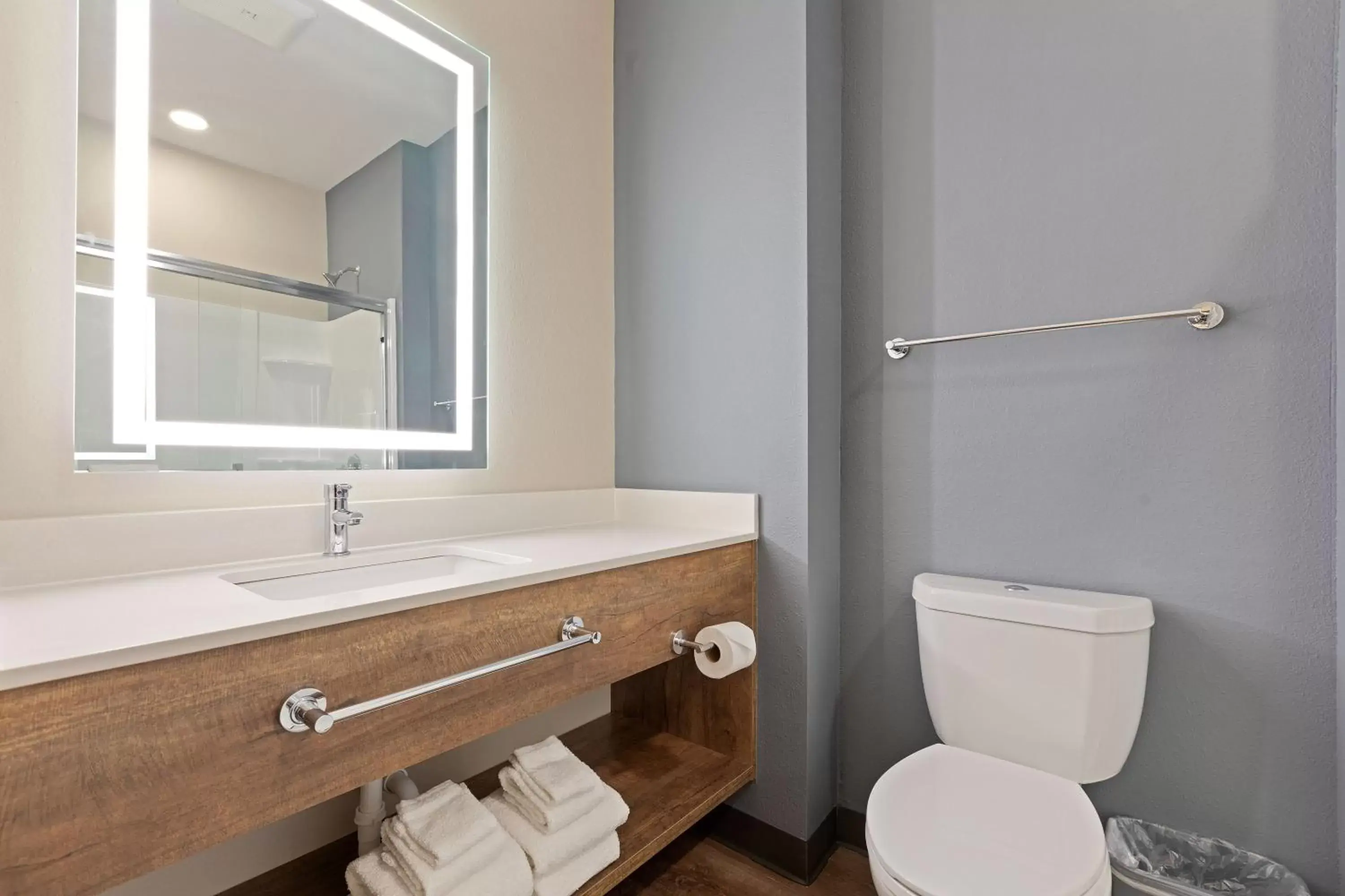 Bathroom in Extended Stay America Premier Suites - Tampa - Gibsonton - Riverview