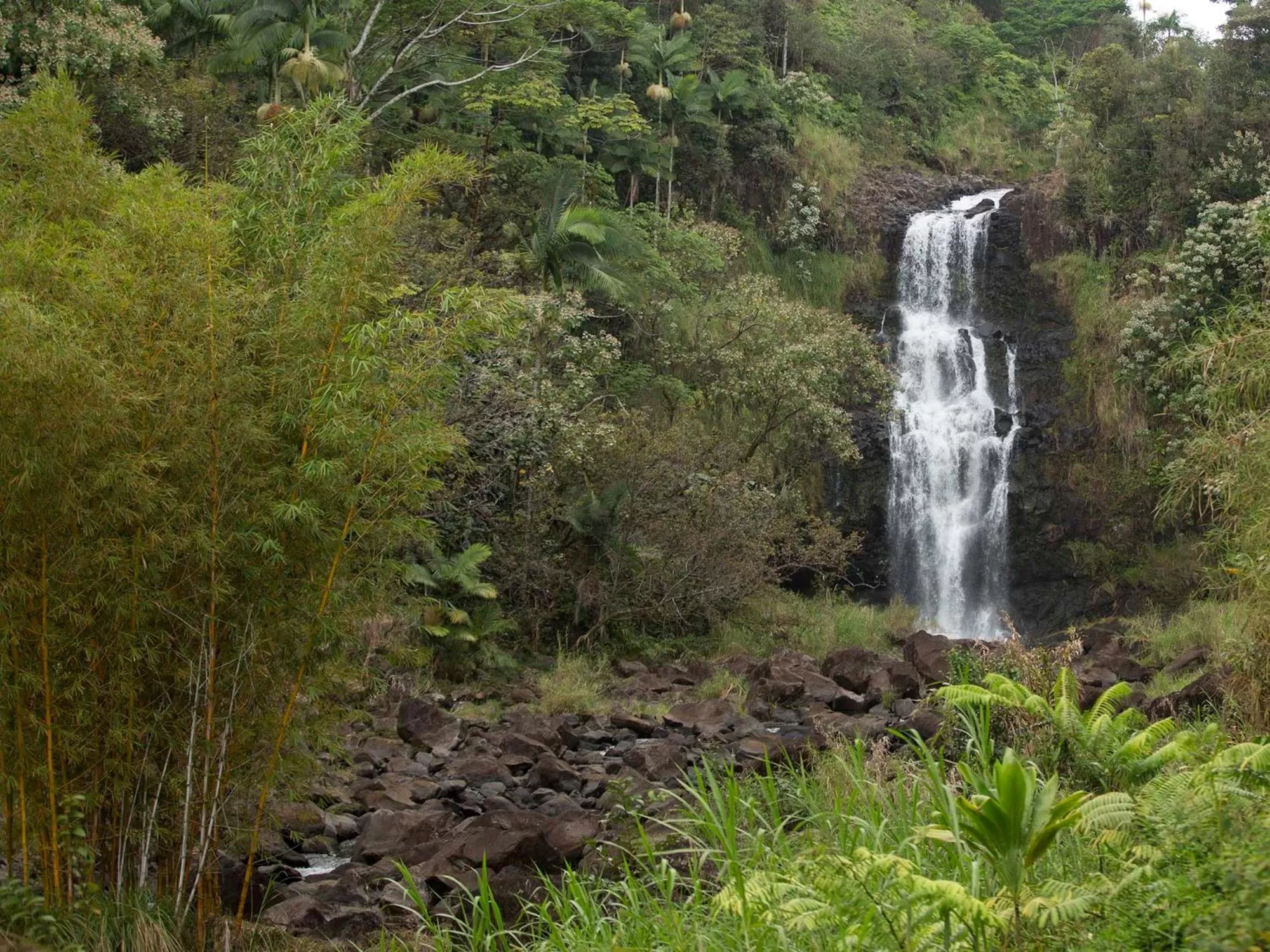 Natural landscape in The Inn at Kulaniapia Falls