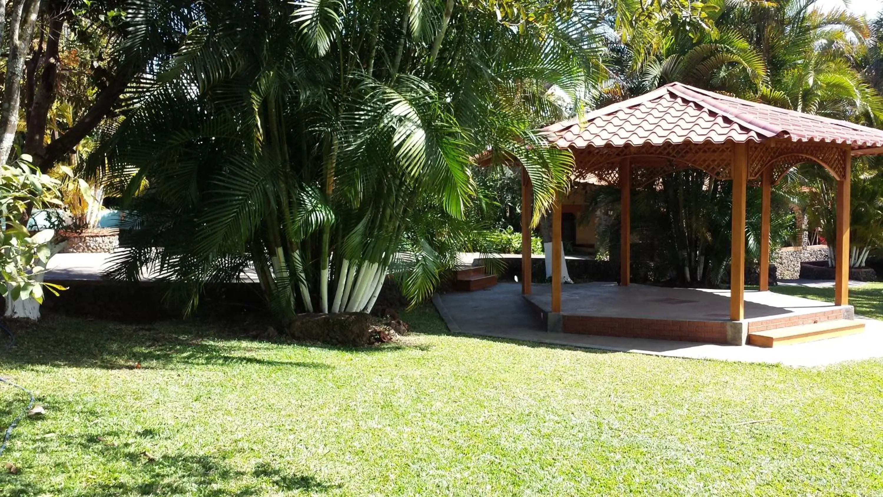 Garden view, Patio/Outdoor Area in Hotel Cibeles Resort