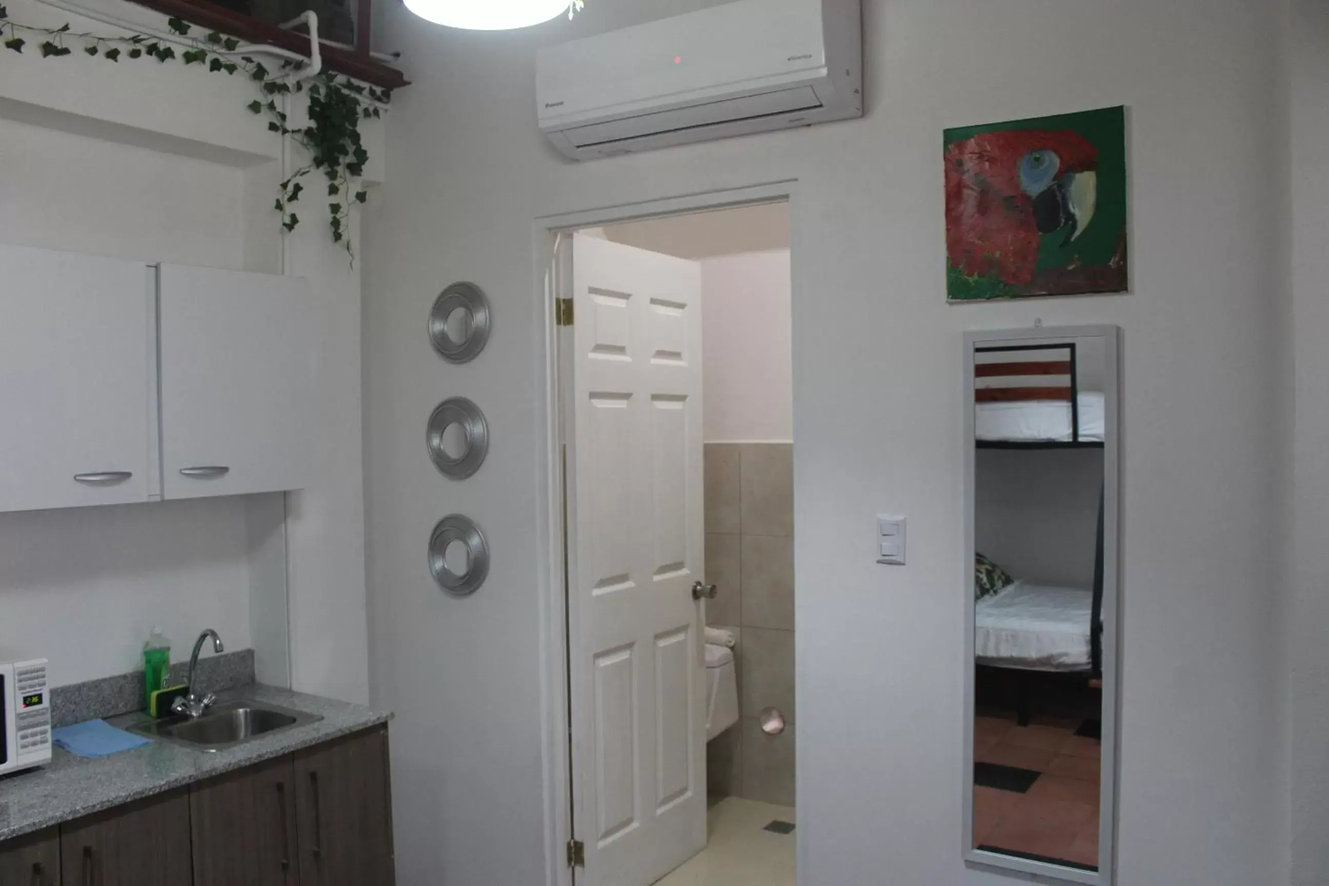 Kitchen/Kitchenette in Cando Living Apartments in Central Avenue