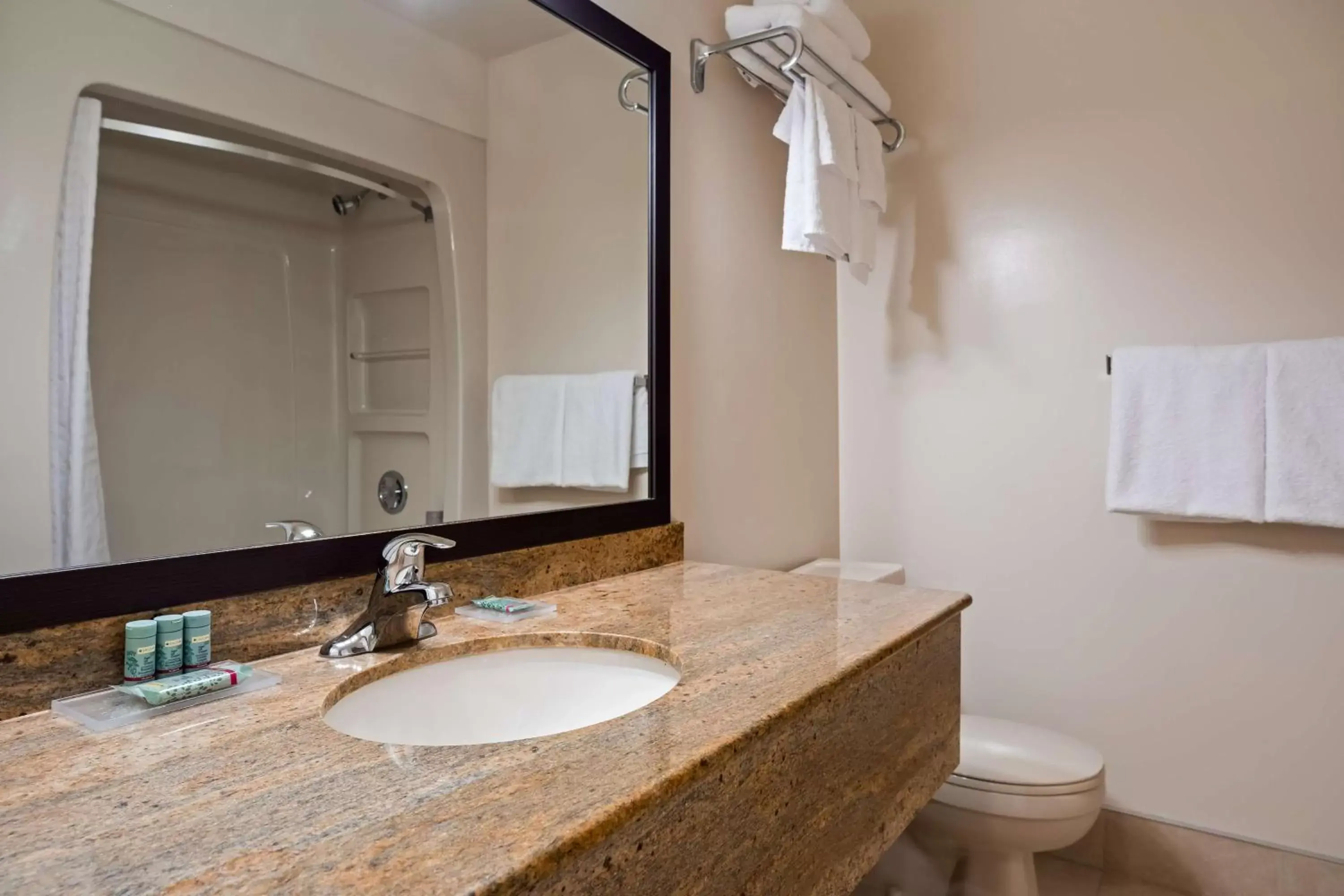 Bathroom in Best Western Smiths Falls Hotel