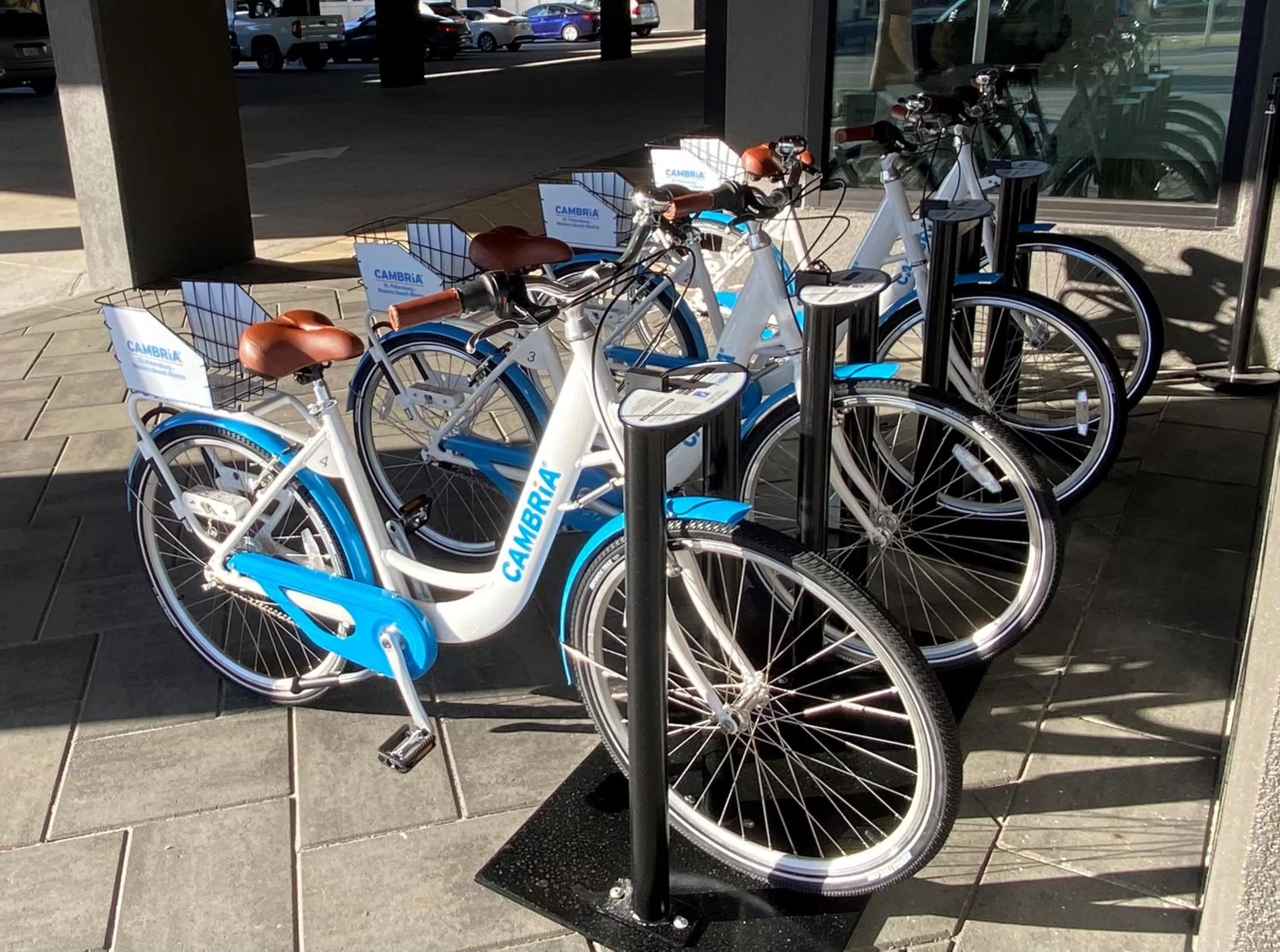 Activities in Cambria Hotel St Petersburg-Madeira Beach Marina