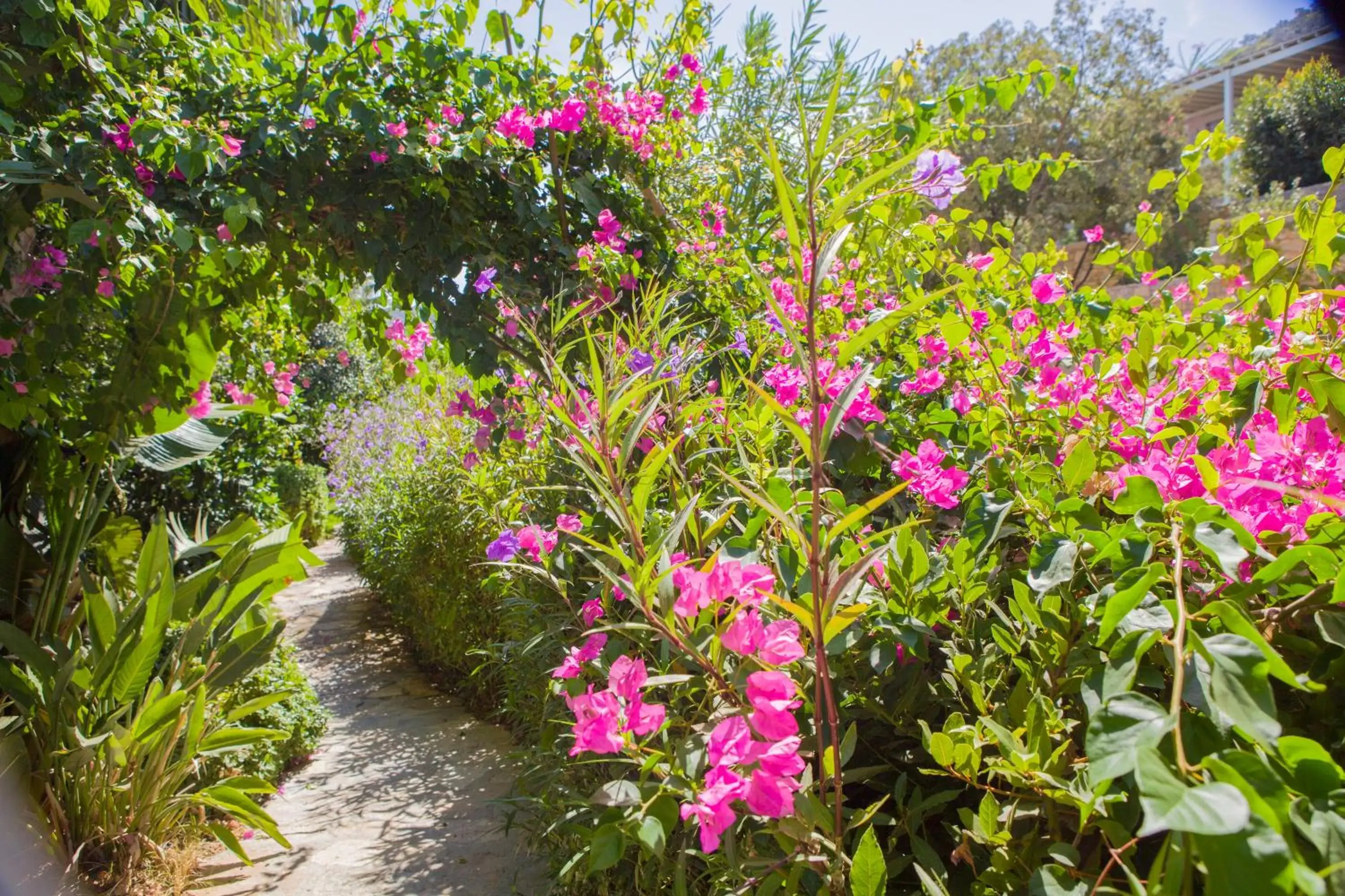 Day, Garden in Spektr Boutique Hotel & Spa