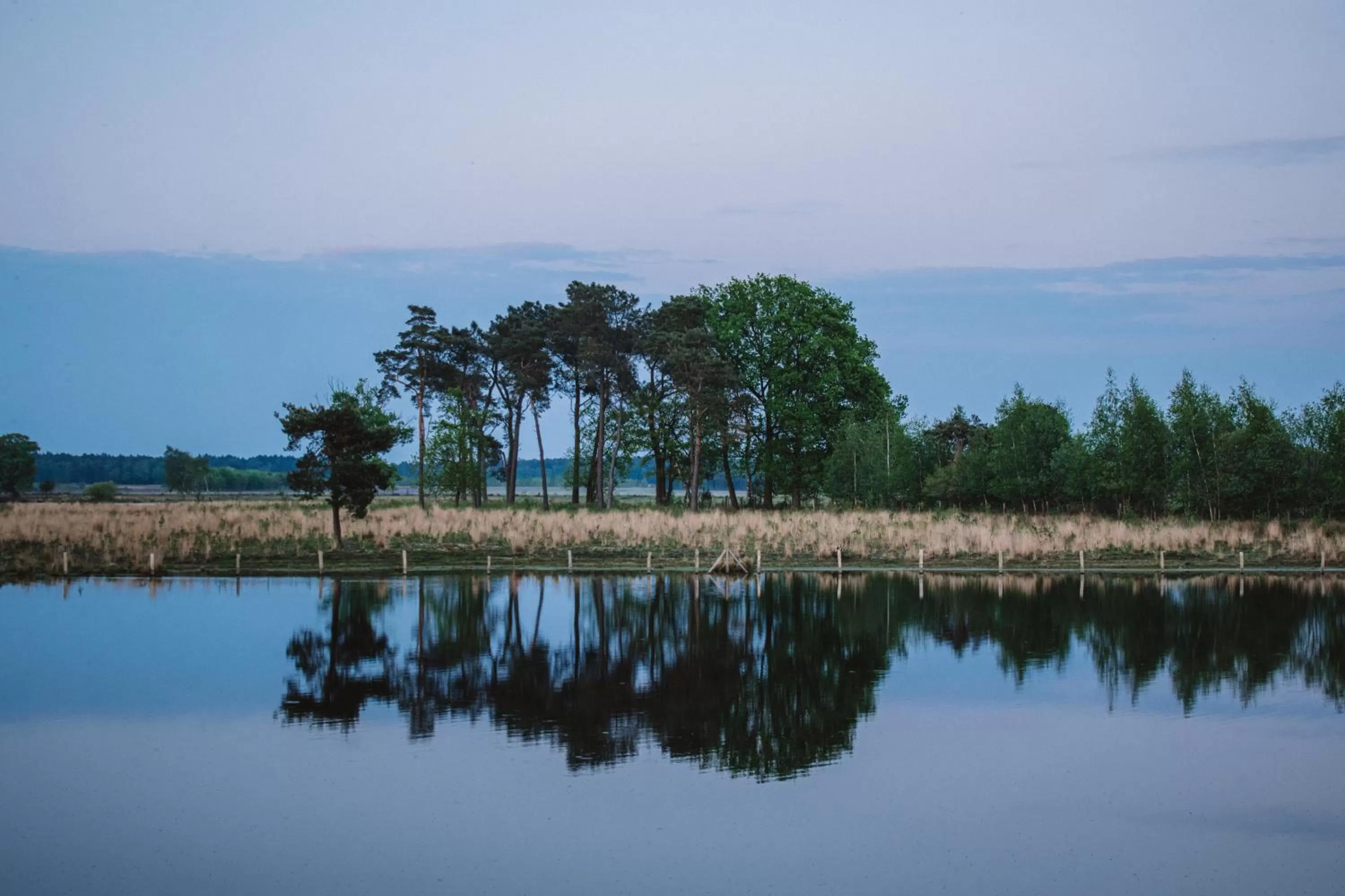 Day in Turnhout City Hotel