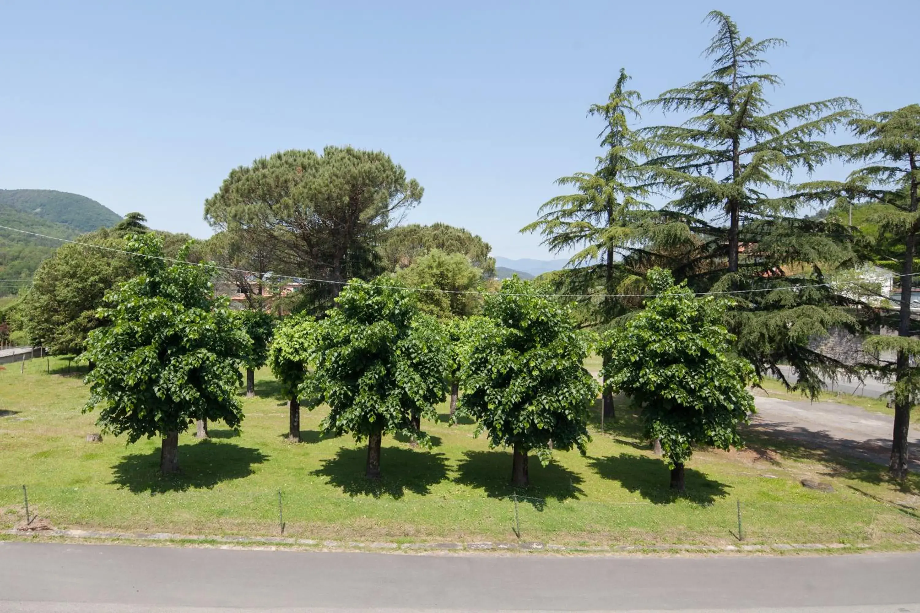 Natural landscape in Hotel Nella