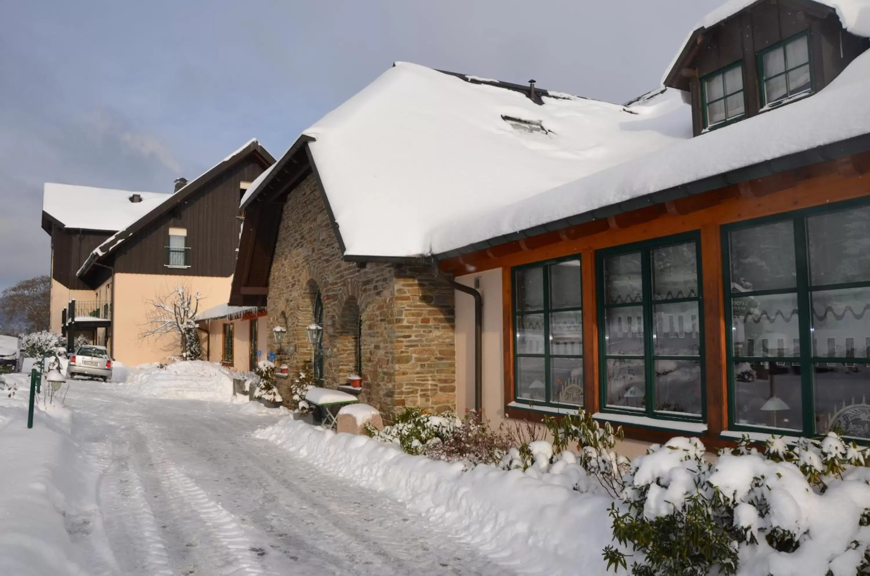 Skiing, Winter in Landhotel Rittersgrün