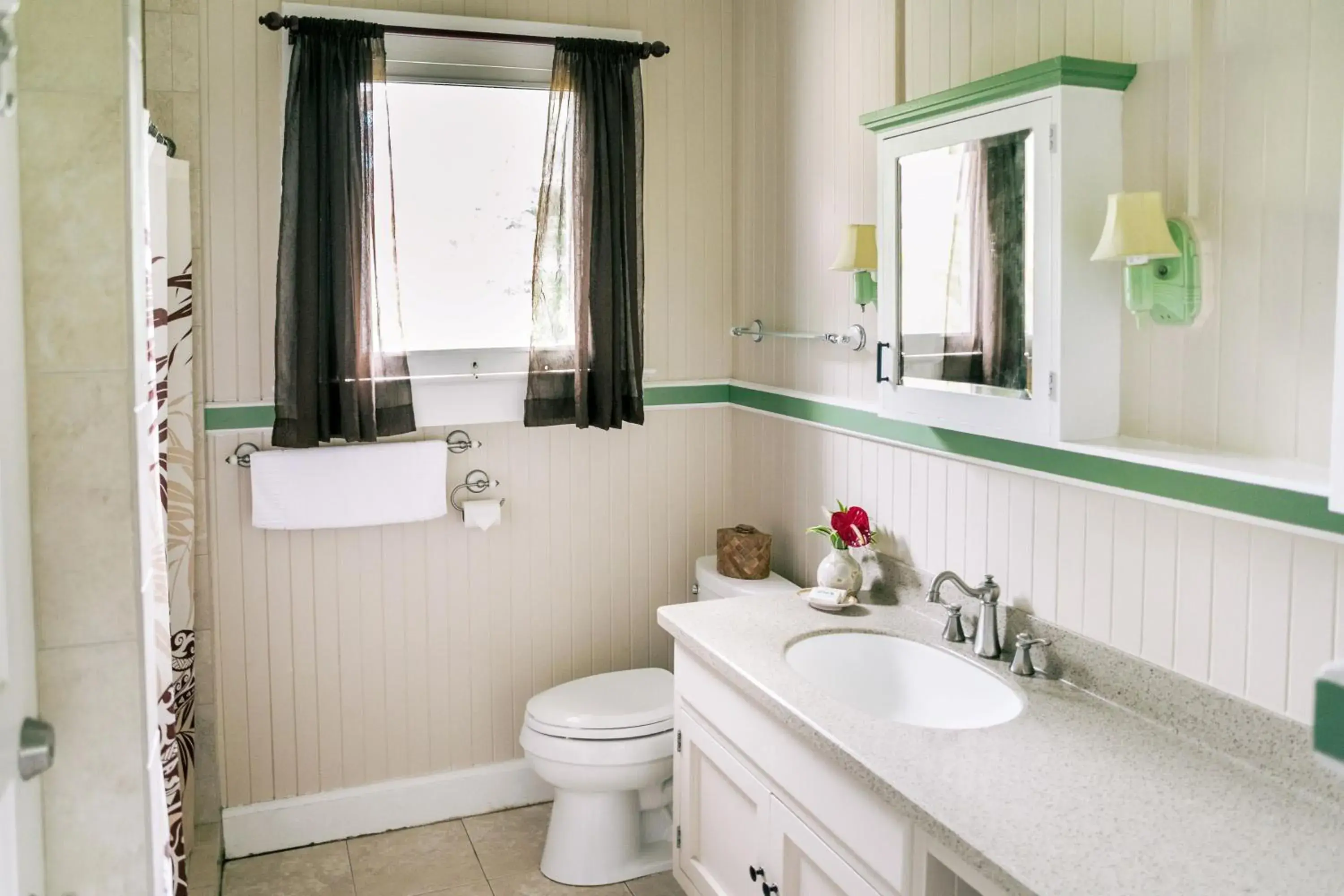 Bathroom in Kilauea Lodge and Restaurant