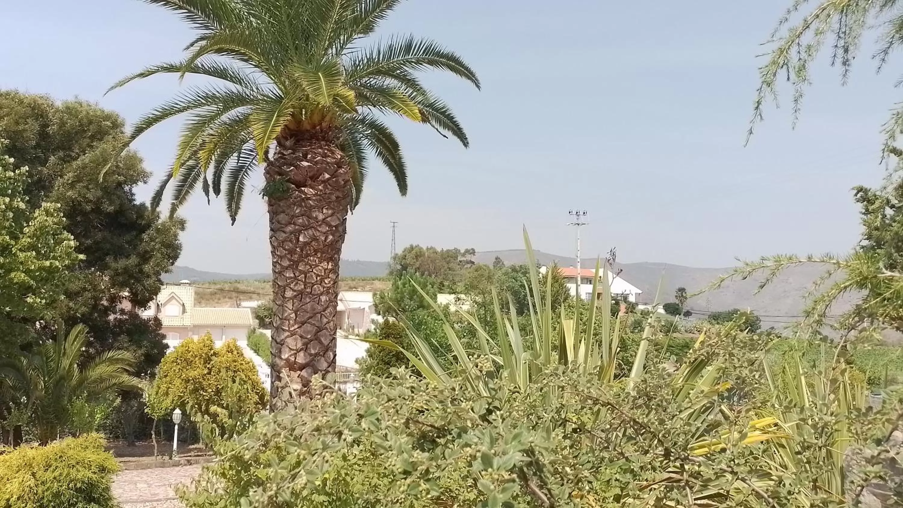 Garden view in A Flor da Rosa