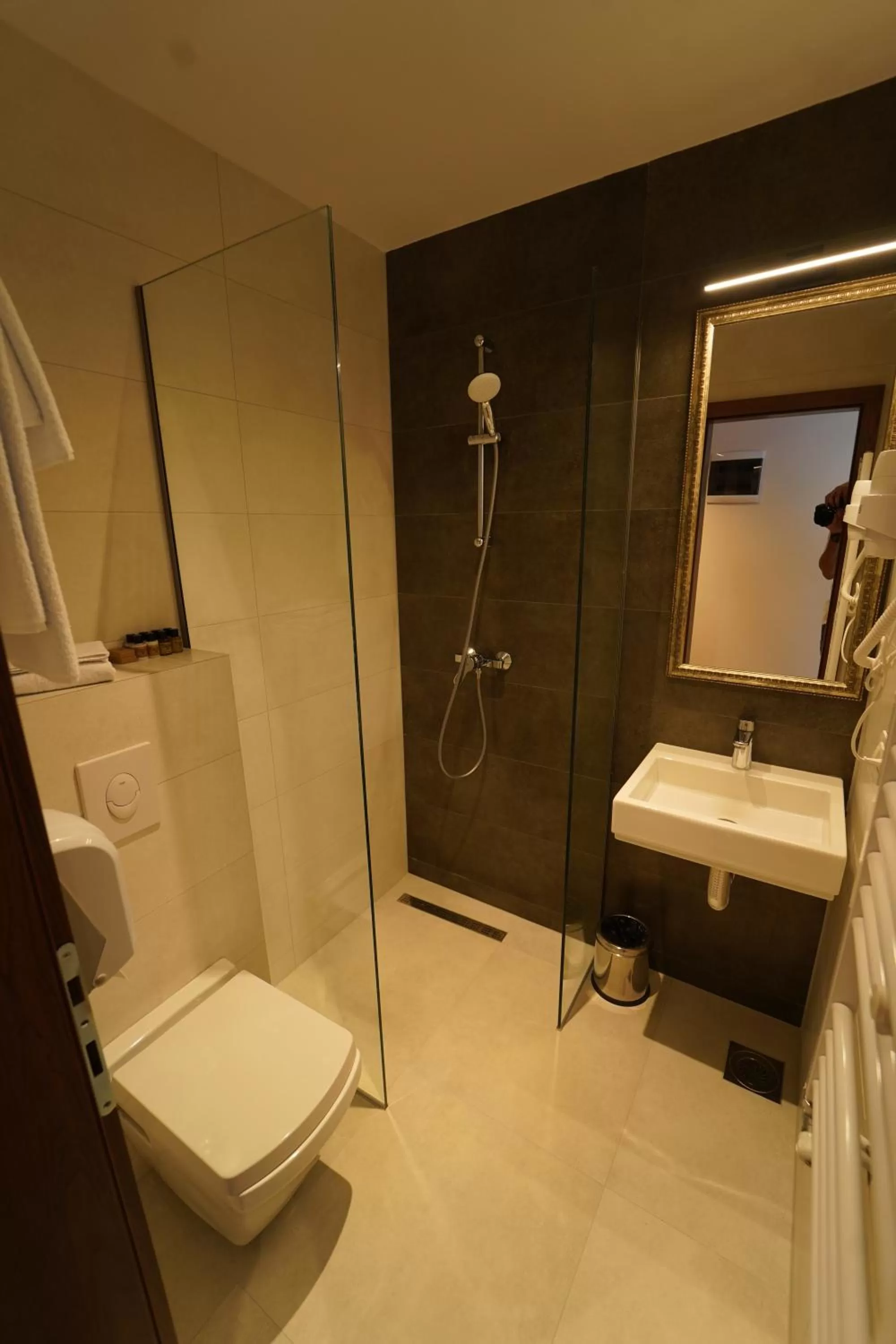 Shower, Bathroom in Monarch Hotel