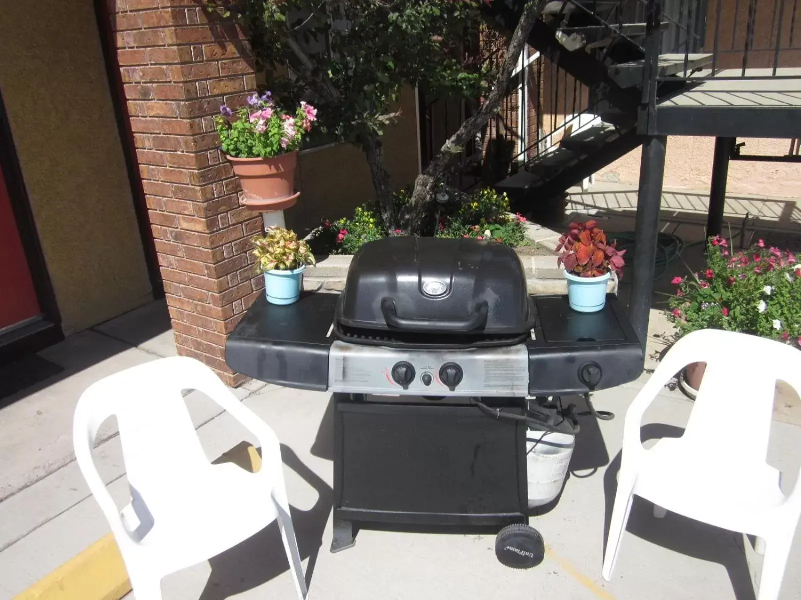 Facade/entrance in Color Country Motel Facade/entrance in Color Country Motel