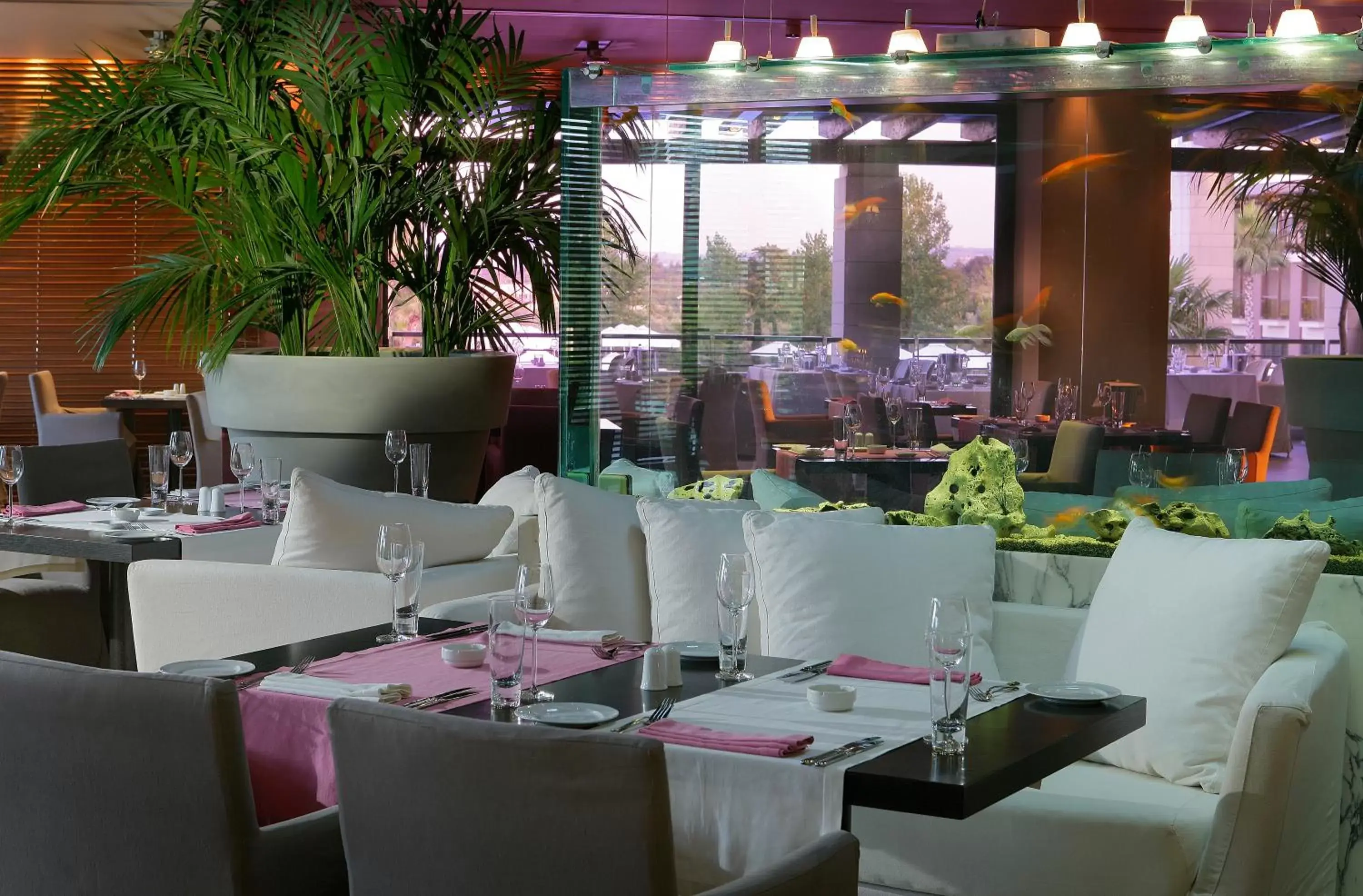 Banquet/Function facilities, Restaurant/Places to Eat in Hotel Nikopolis
