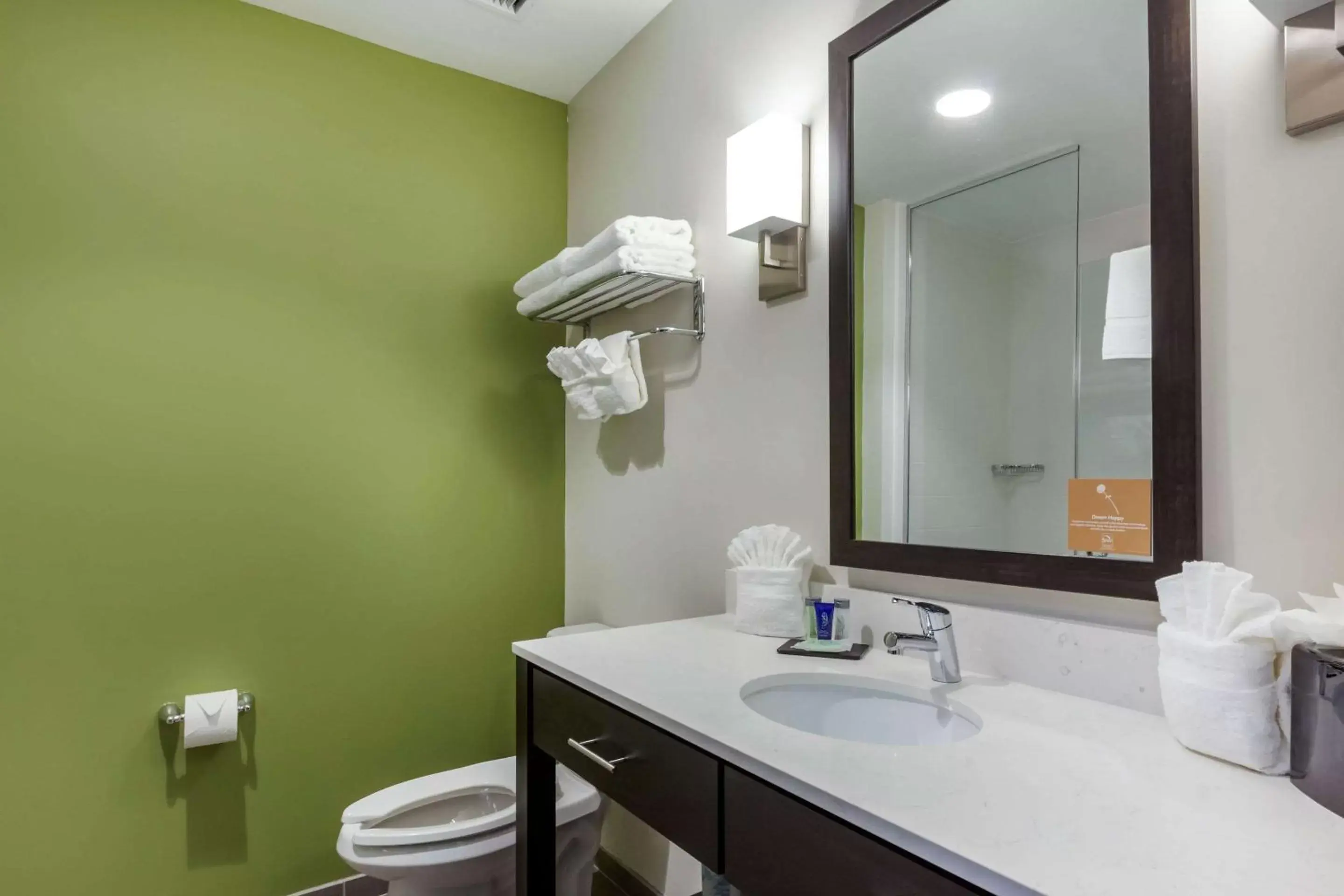 Bathroom in Sleep Inn & Suites Tampa South