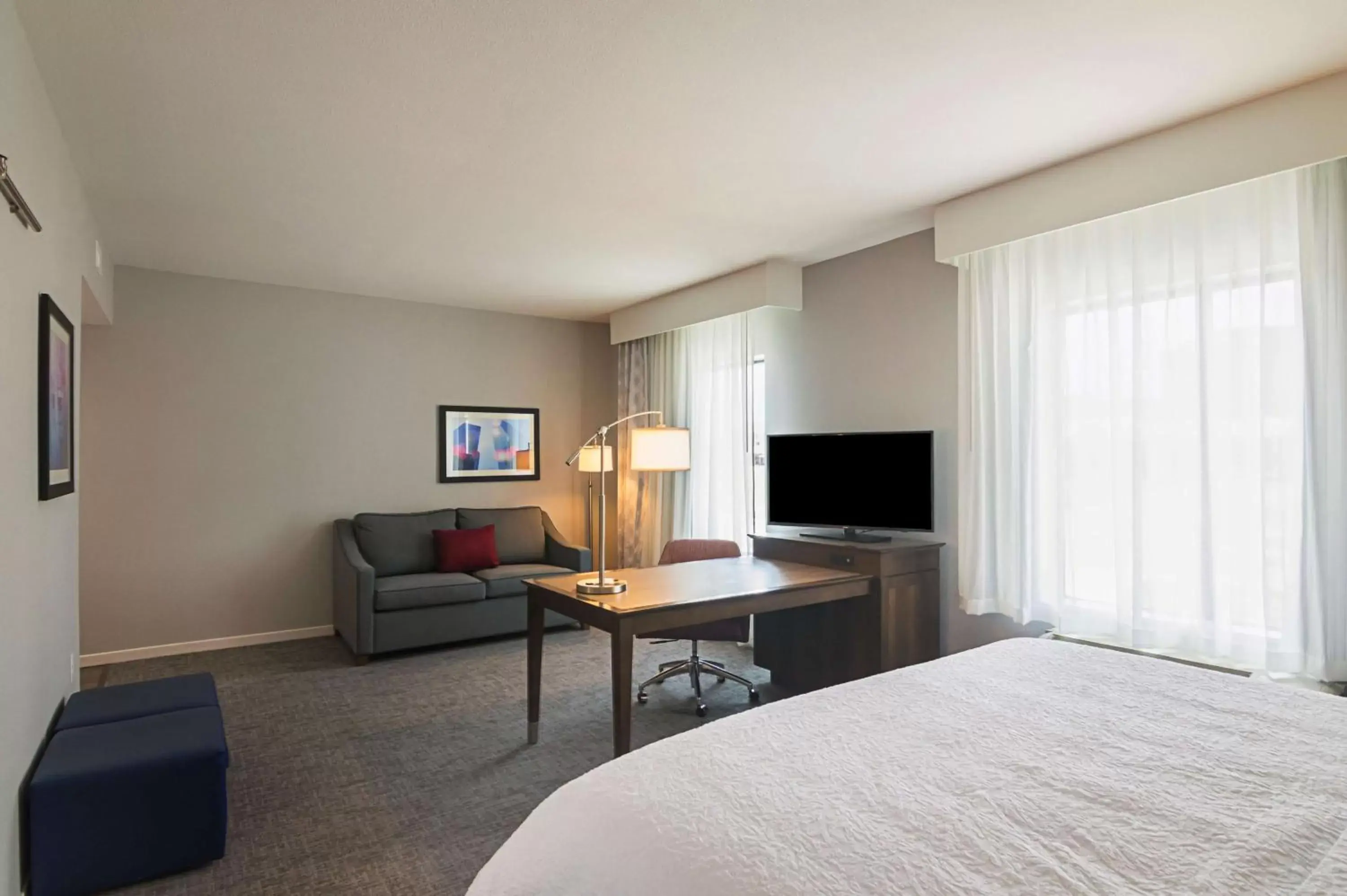Bed, TV/Entertainment Center in Hampton Inn & Suites-Dallas/Richardson