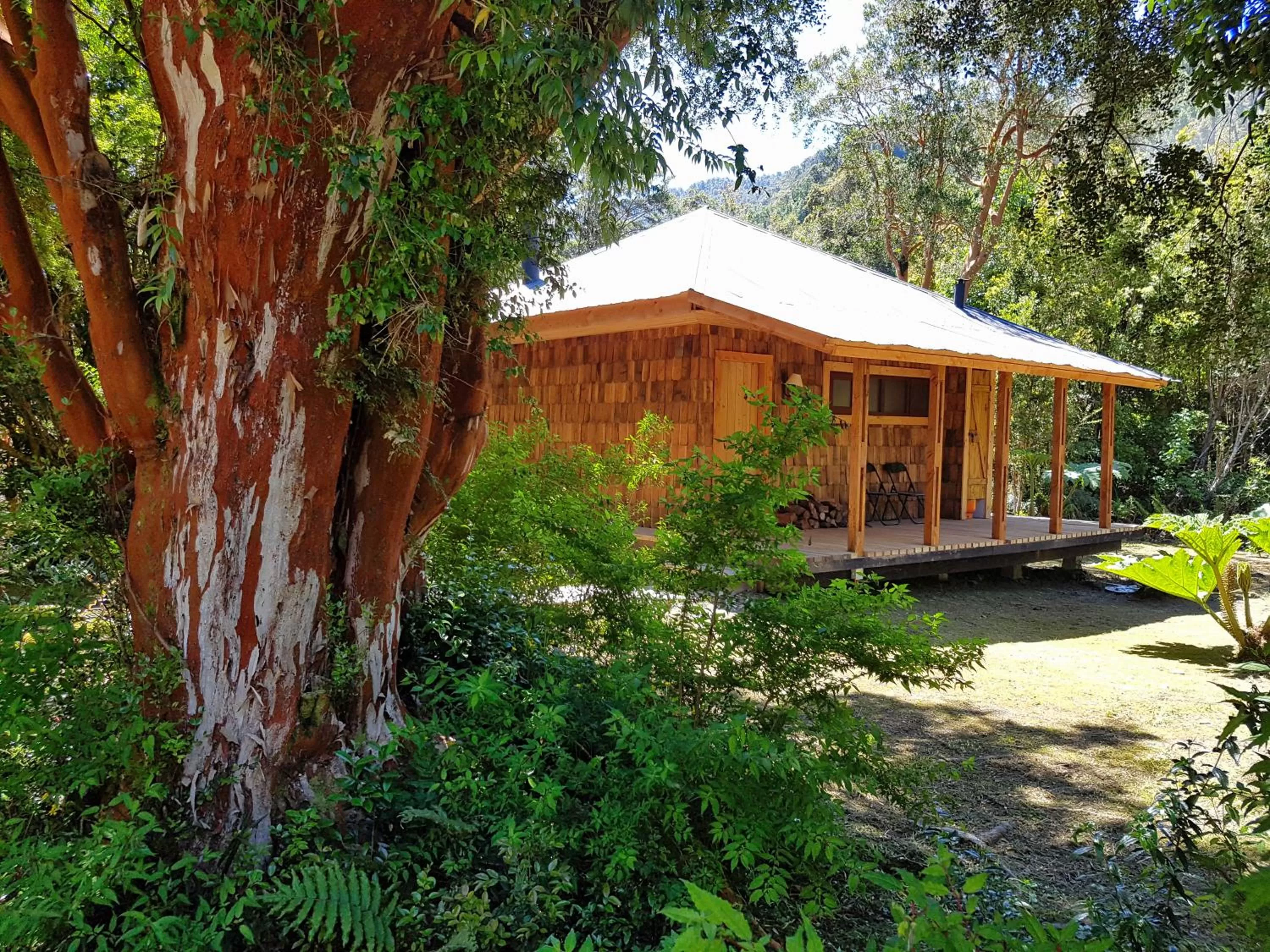 Property Building in Posada Queulat