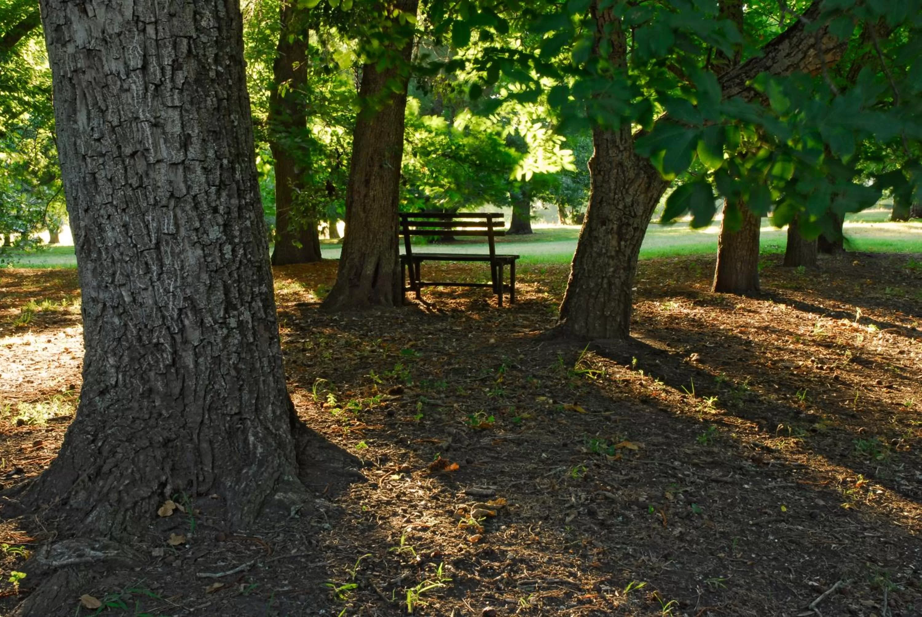Garden in Estancia Ave María