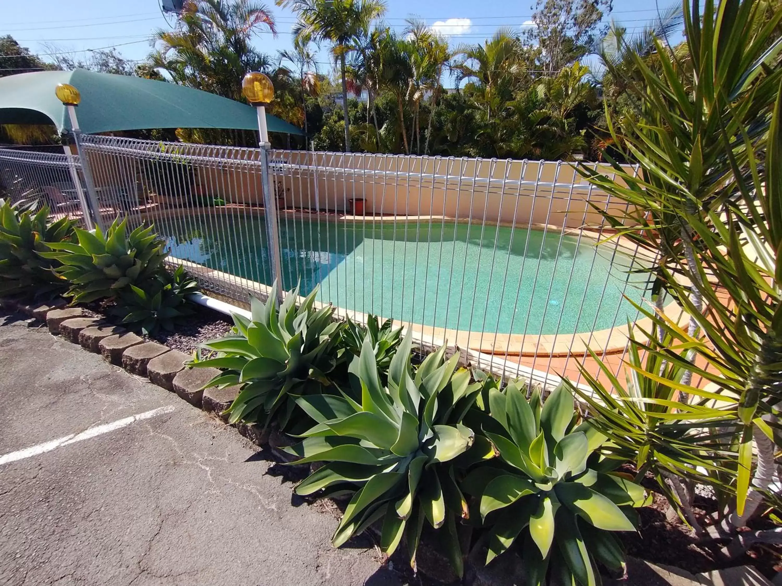 Pool view, Swimming Pool in Aspley Sunset Motel