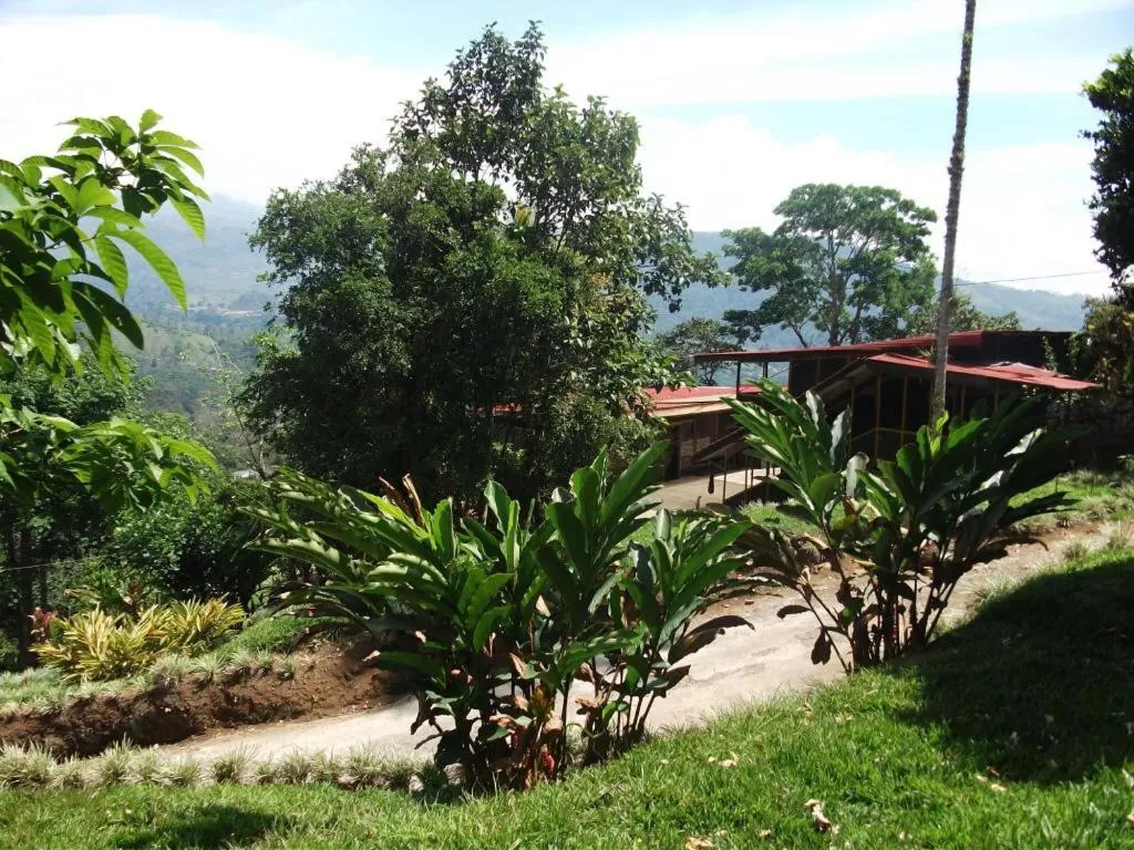 Garden in Hotel Green Mountain turrialba