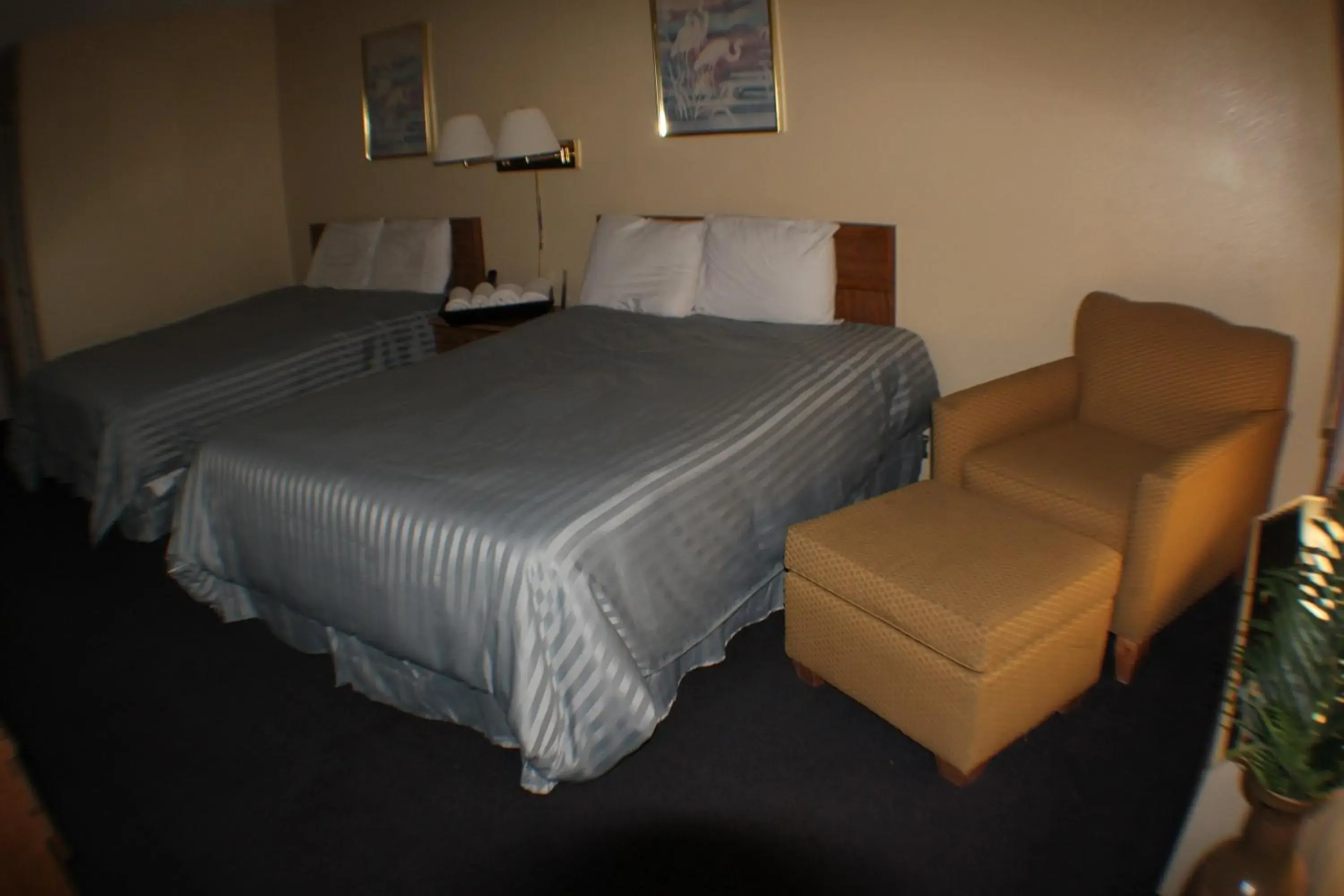 Bed in Value Inn & Suites - Harlingen