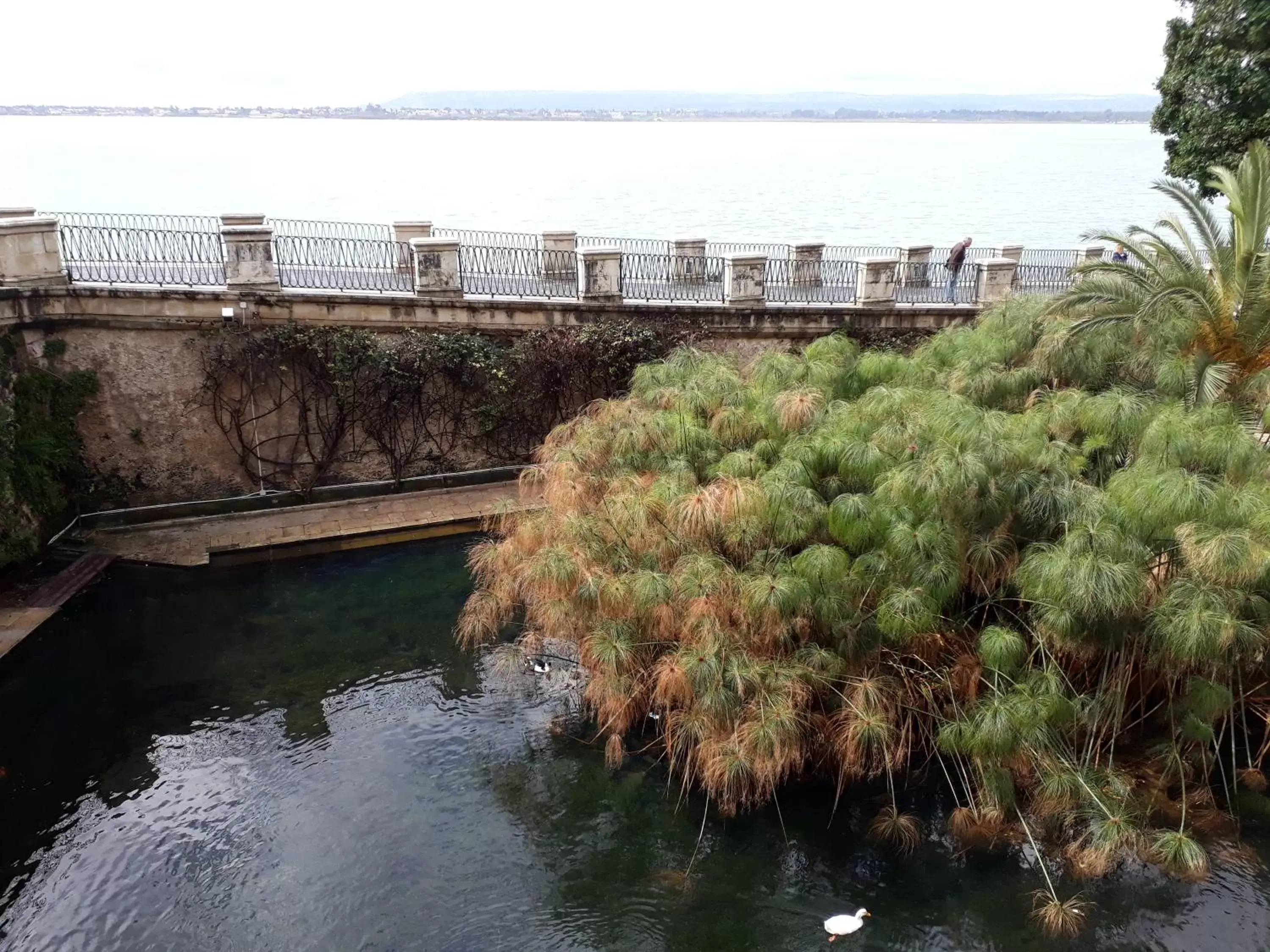 Nearby landmark in Dream Holiday Ortigia