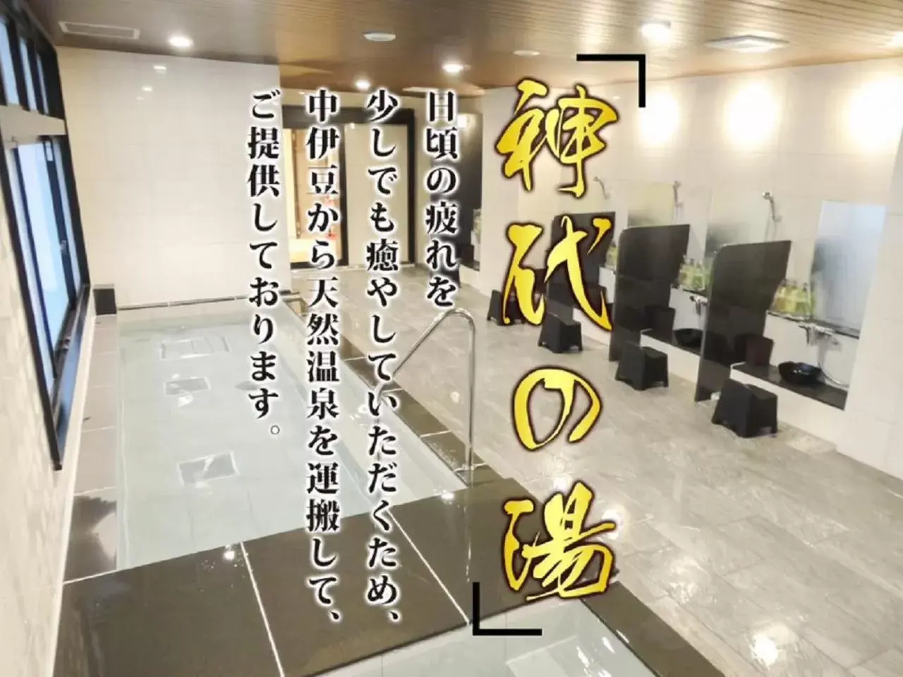 Hot Spring Bath in HOTEL LiVEMAX PREMIUM Himejieki-Minami