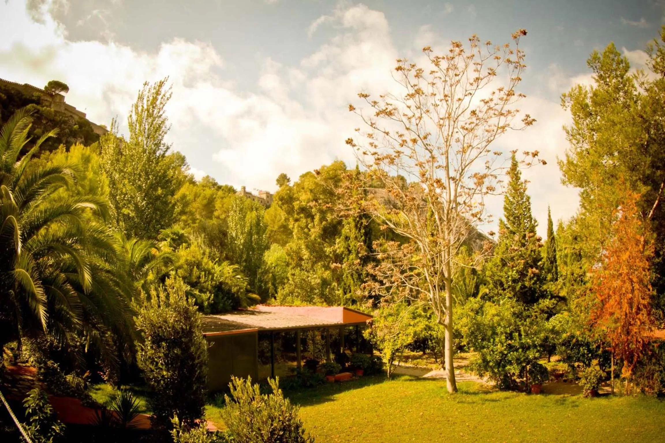 Fitness centre/facilities in Mont-Sant