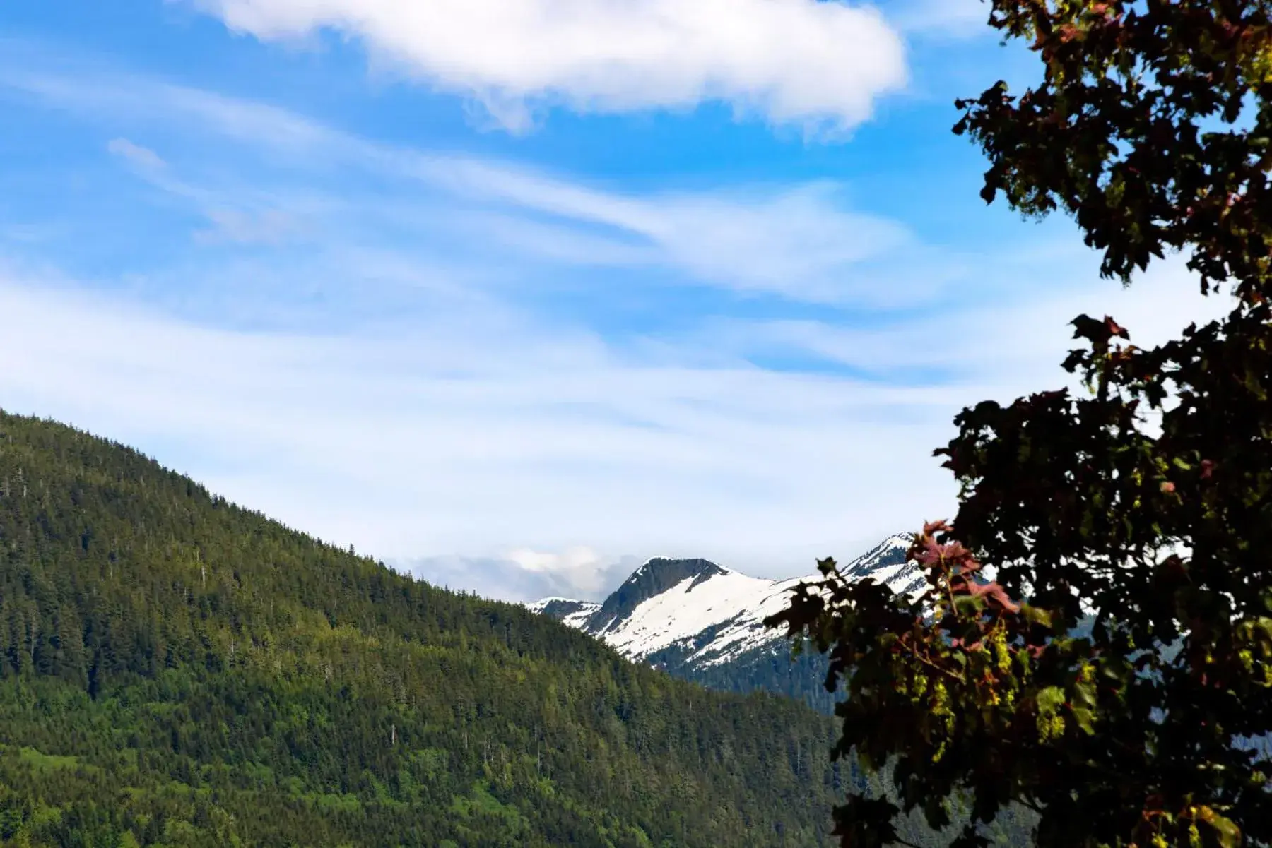 View (from property/room) in The Ketch Inn View (from property/room) in The Ketch Inn