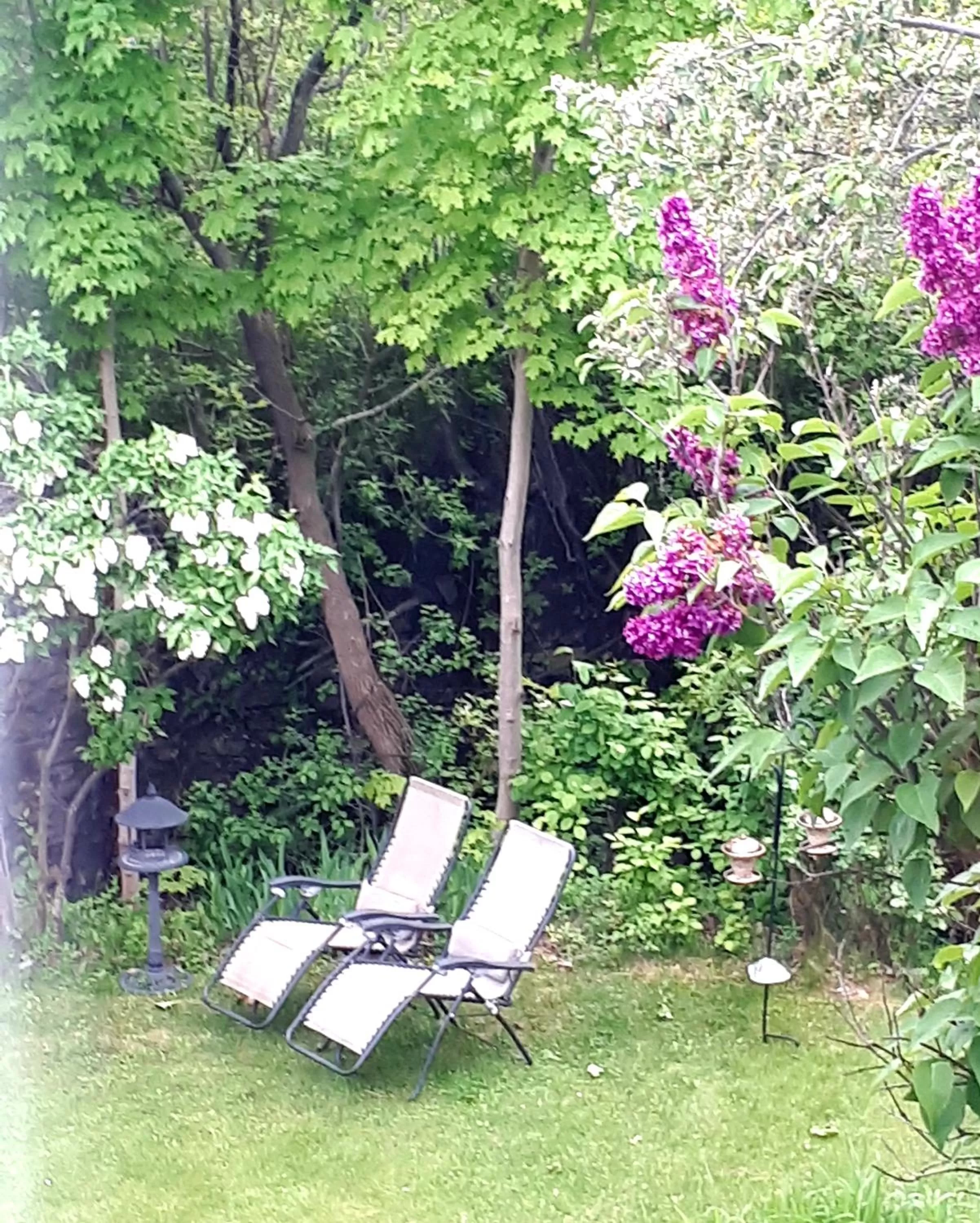 Garden in Auberge le Petit Séjour