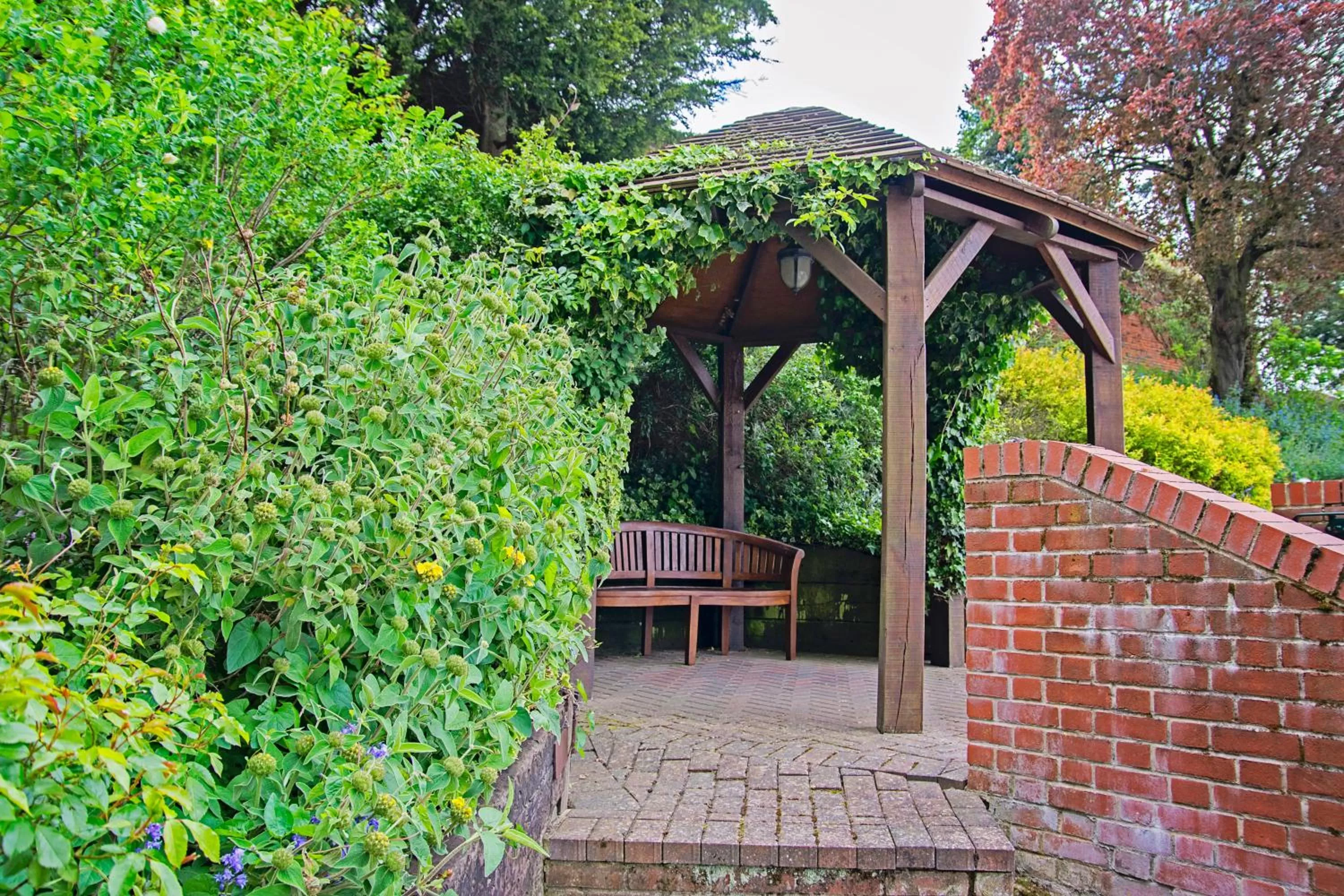 Patio in Waveney House Hotel