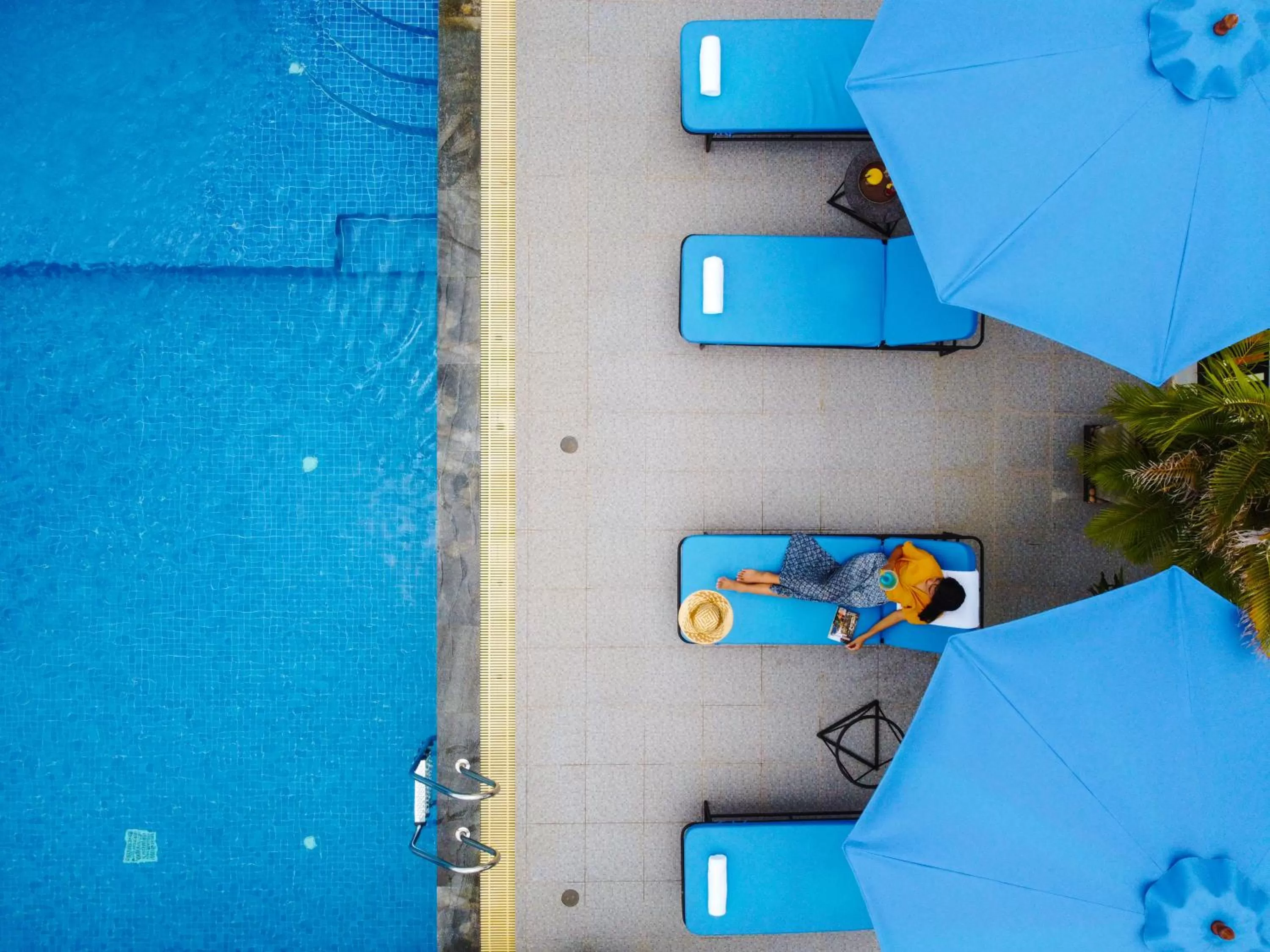 Swimming pool, Pool View in Homewood Hotel