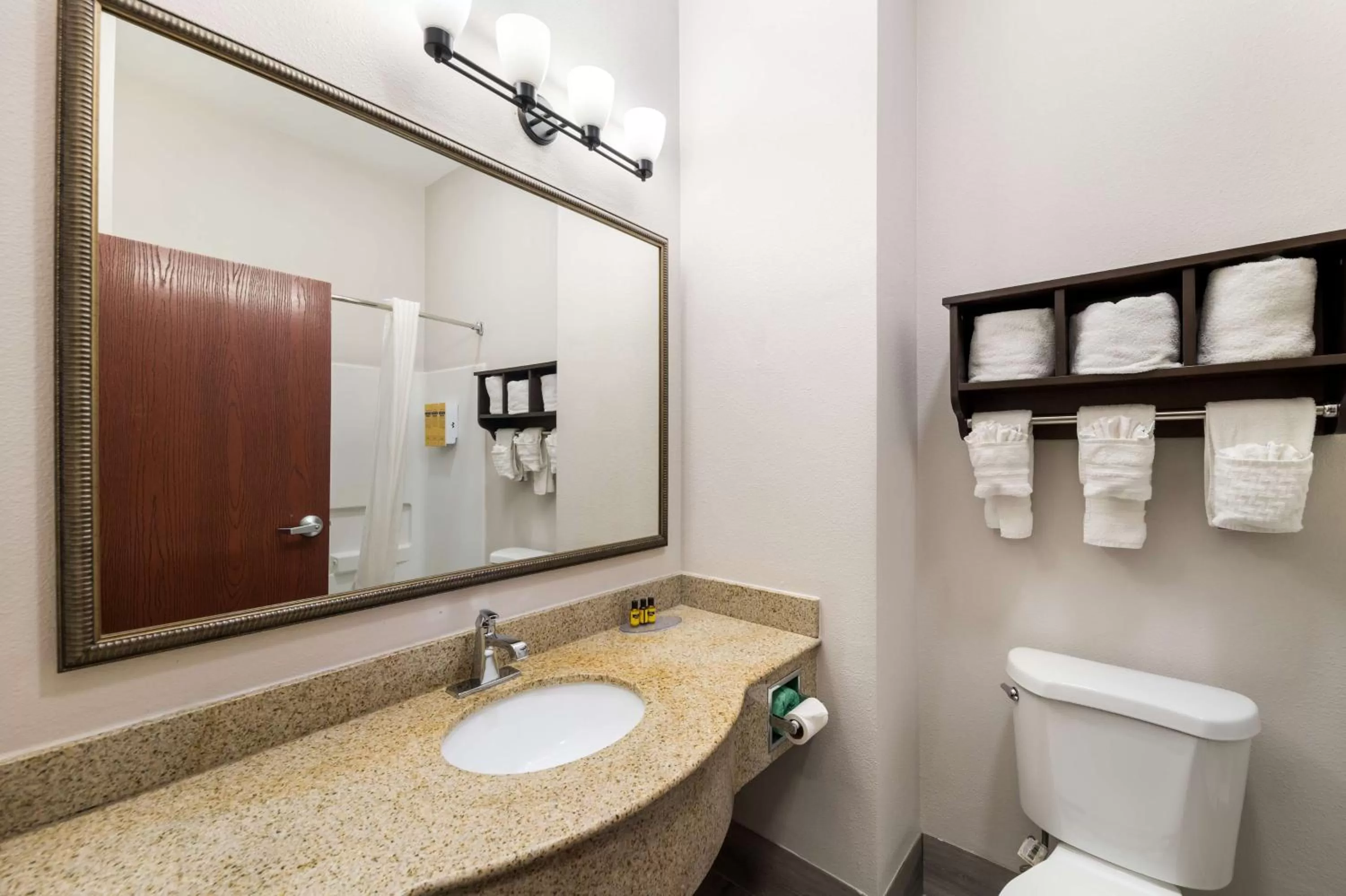 Bathroom in Best Western Plus Lake Dallas Inn & Suites
