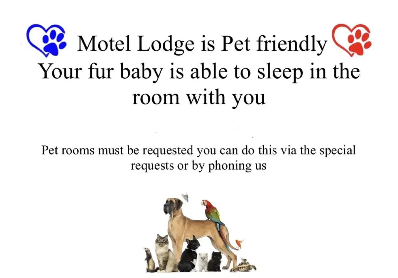 Pets in Motel Lodge