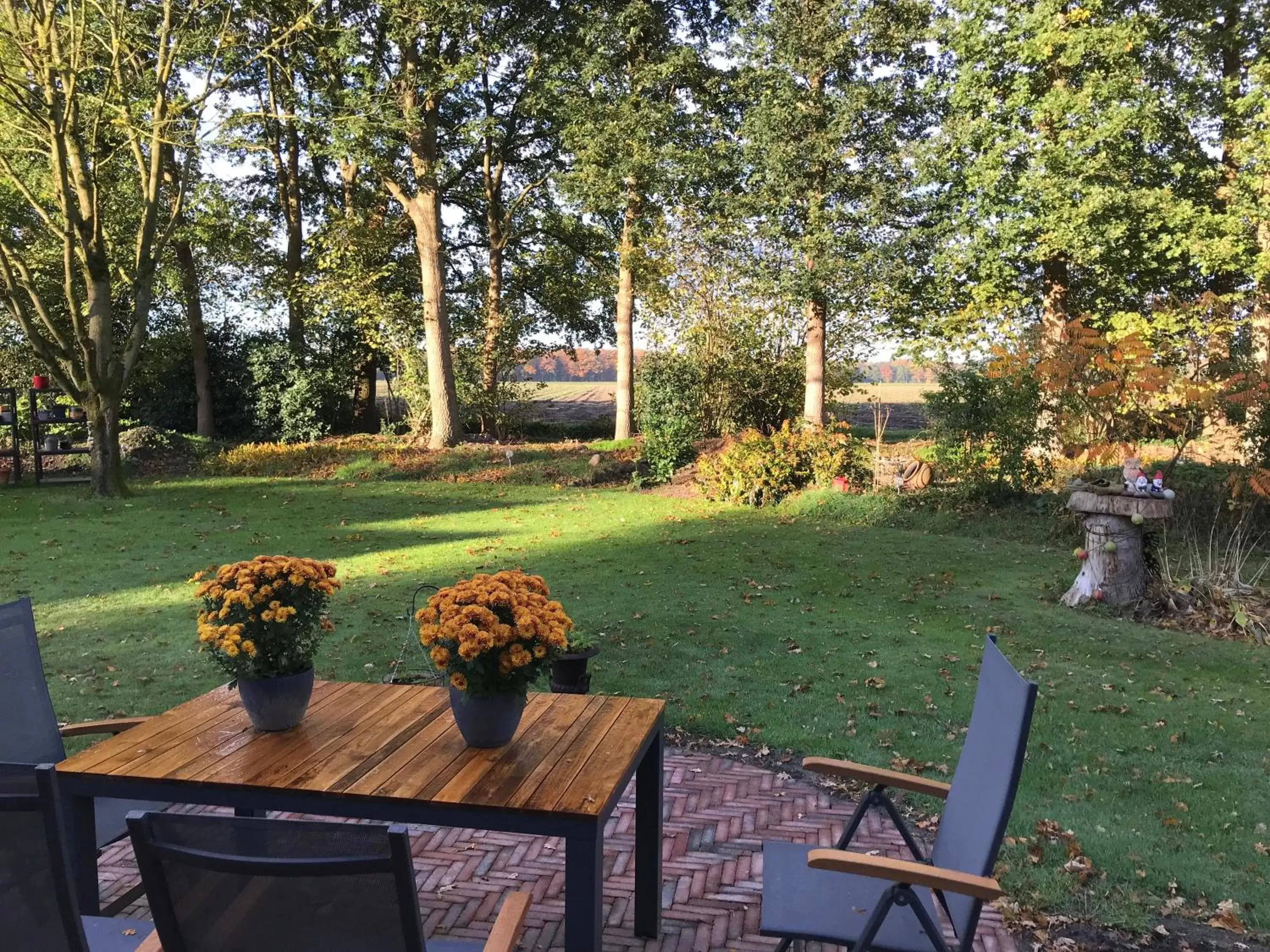 Day, Garden in Het Uilennest