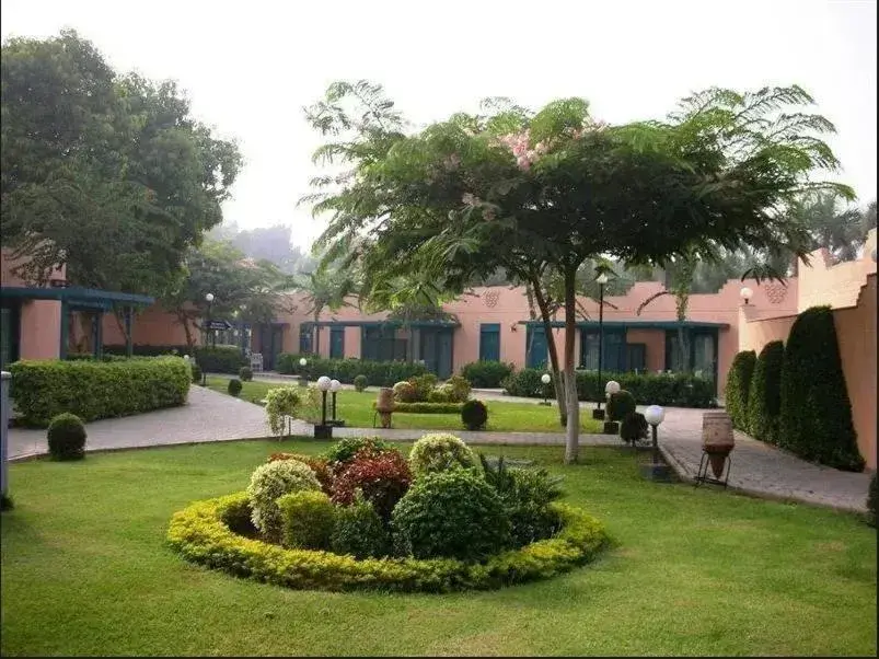 Garden, Property Building in Cairo Pyramids Hotel