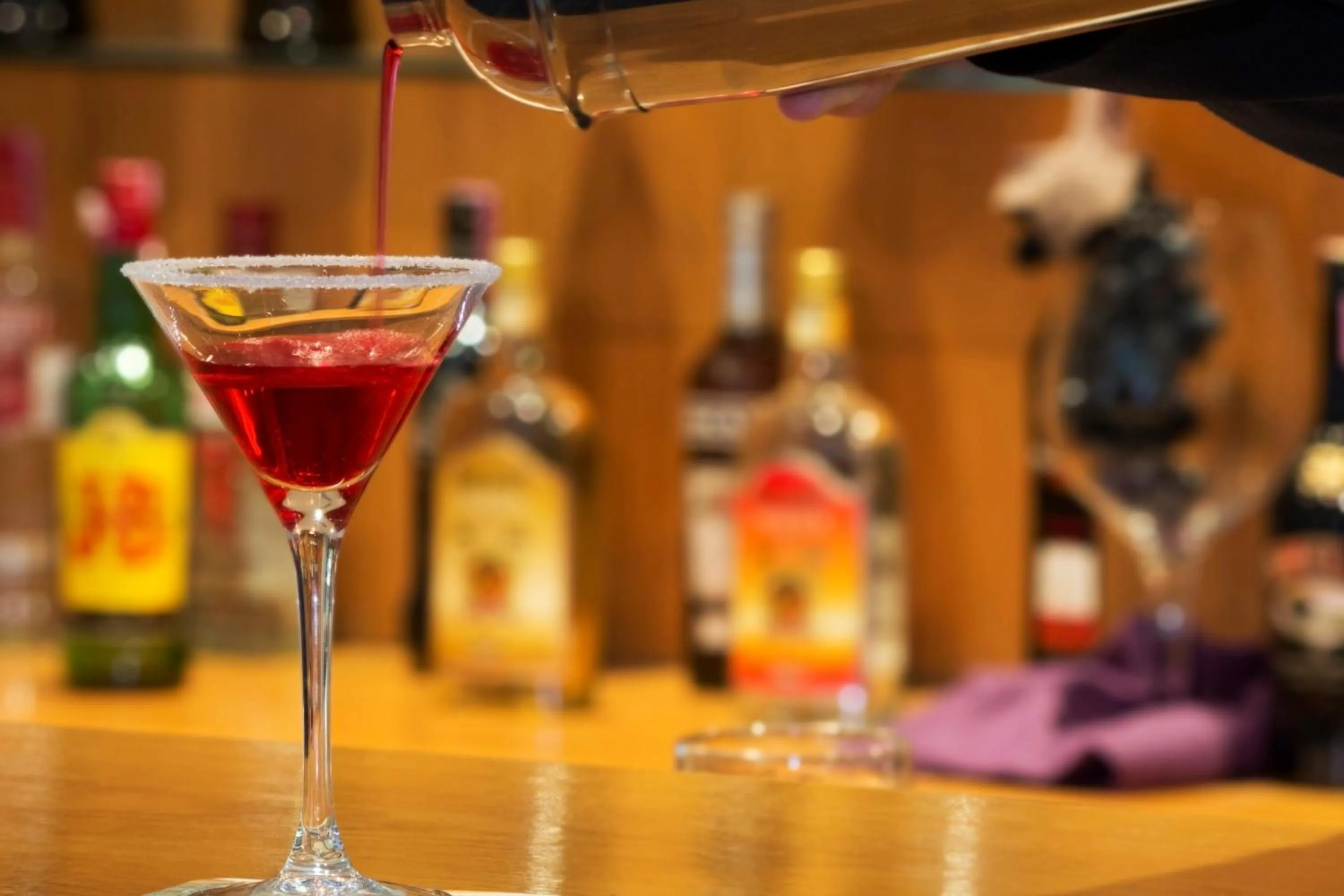 Lounge or bar in Hotel Black Tulip - Porto Gaia